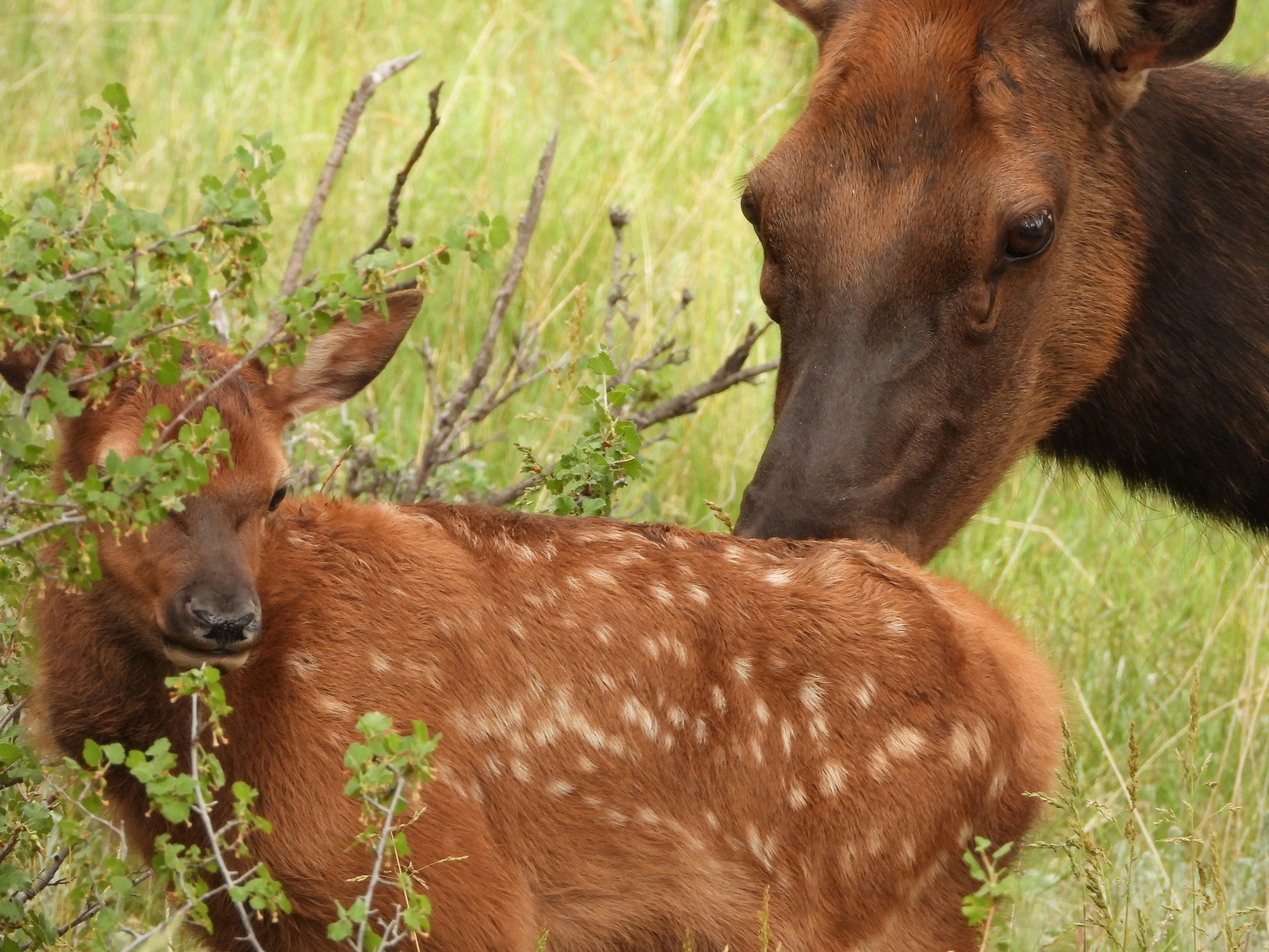 Photo by evergreene24