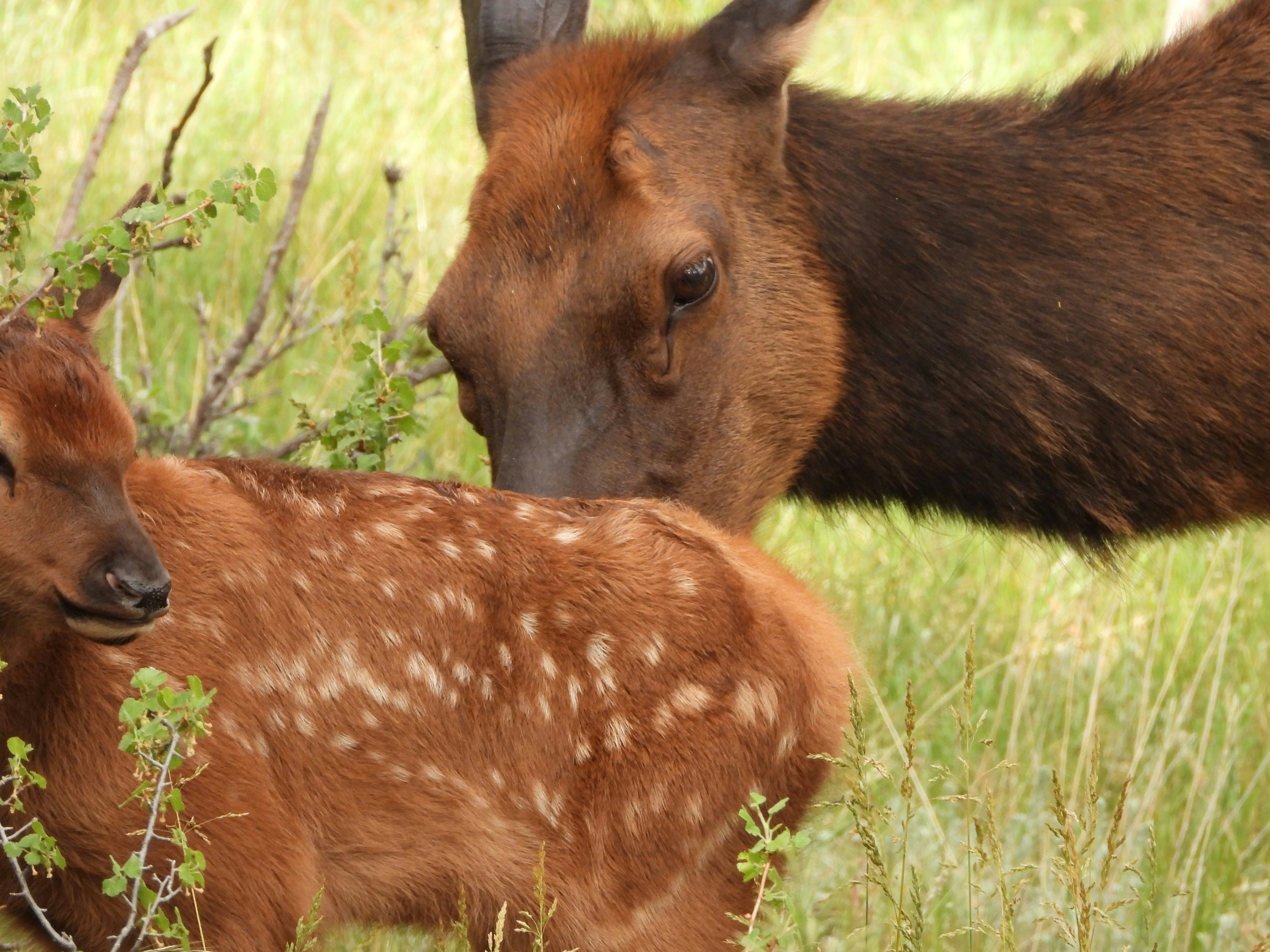 Photo by evergreene24