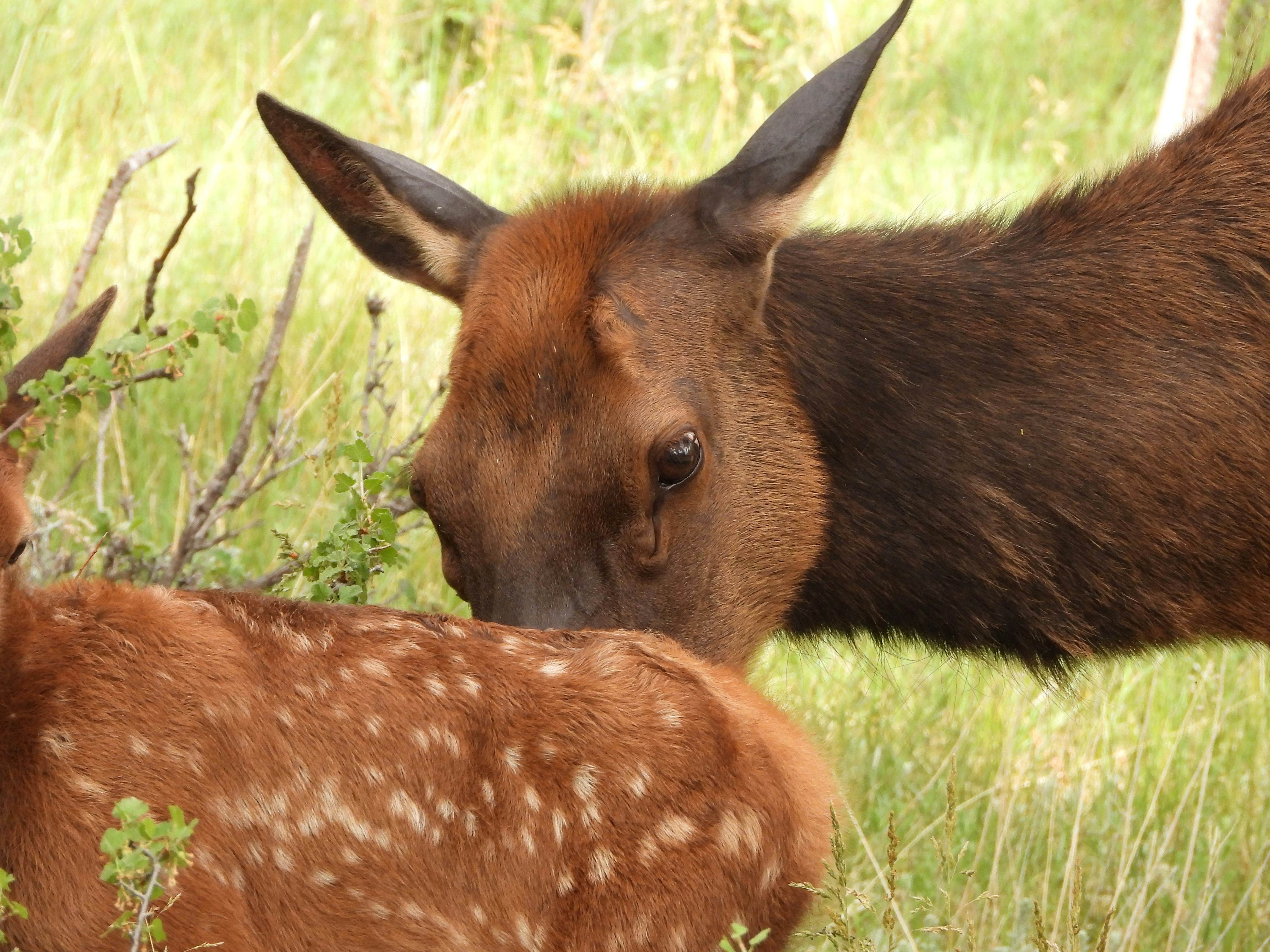 Photo by evergreene24