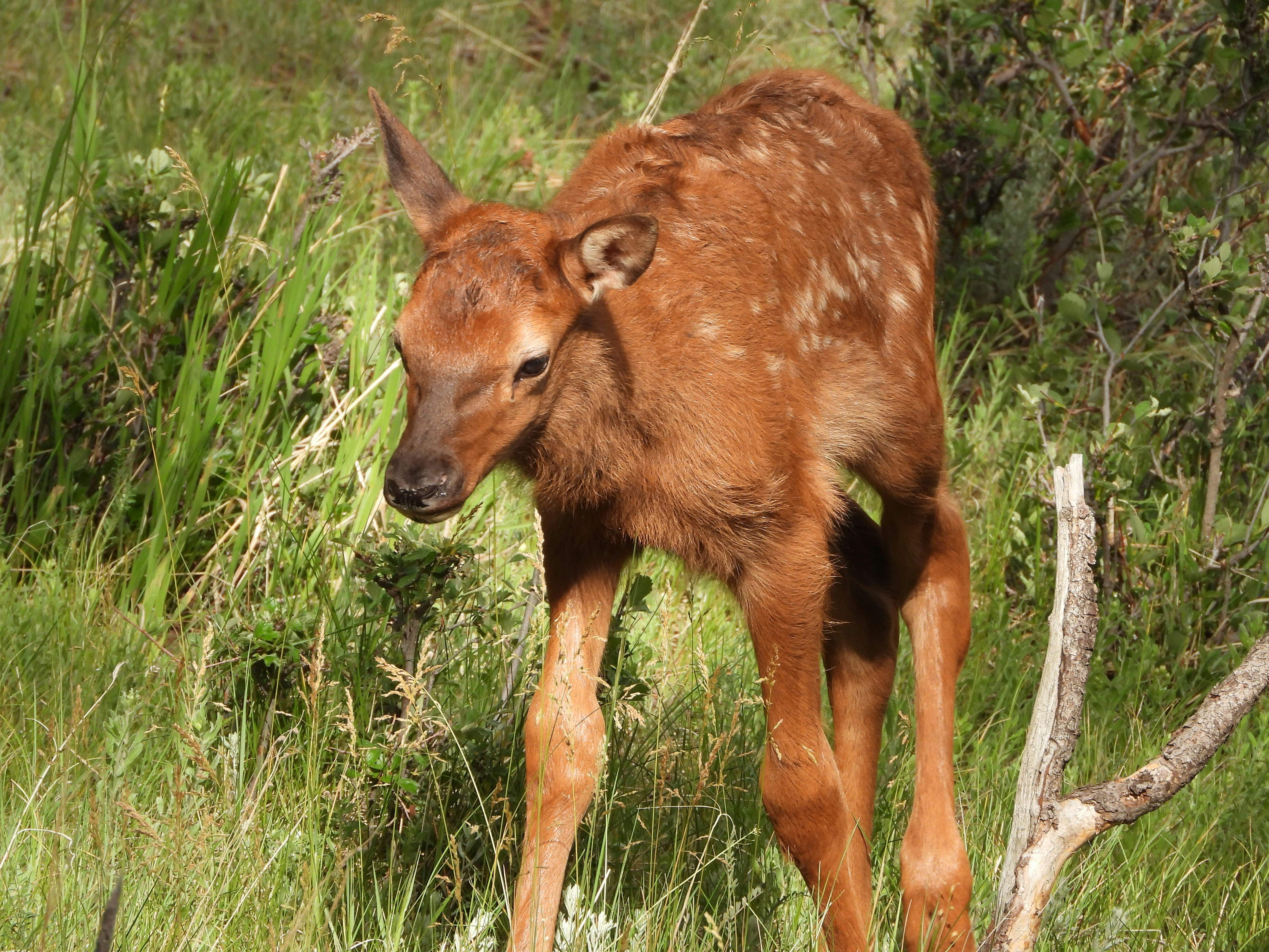 Photo by evergreene24