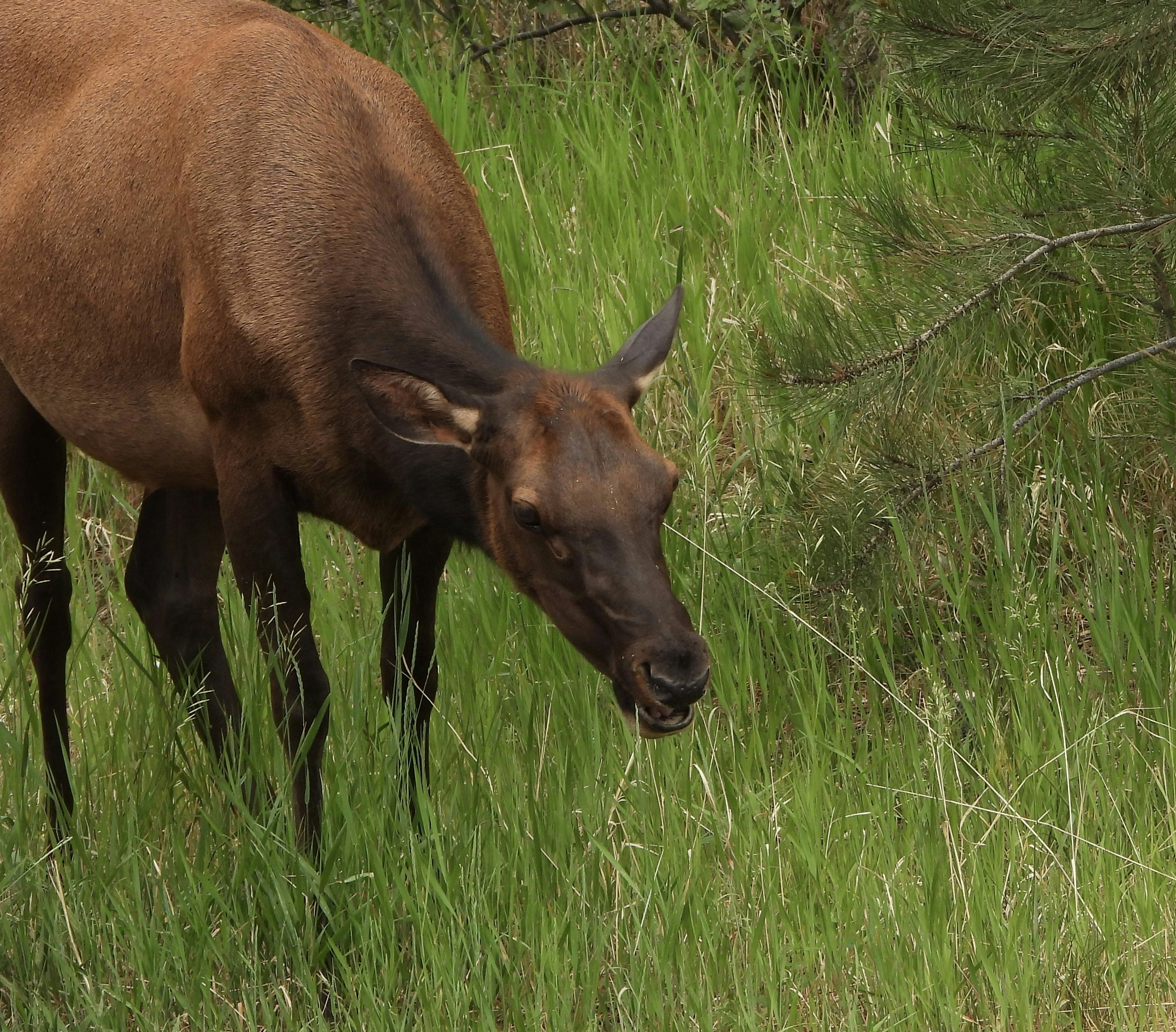 Photo by evergreene24