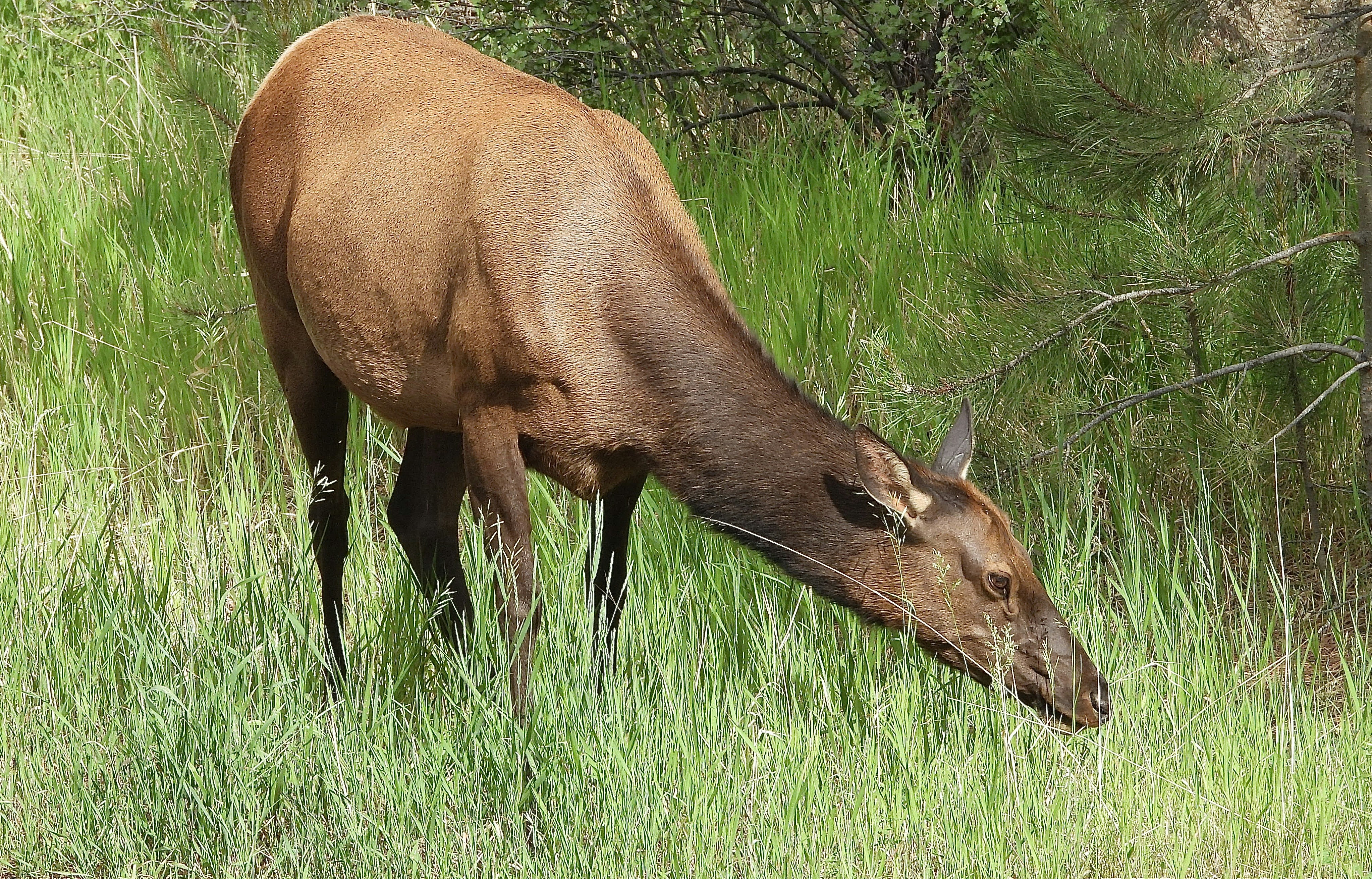 Photo by evergreene24