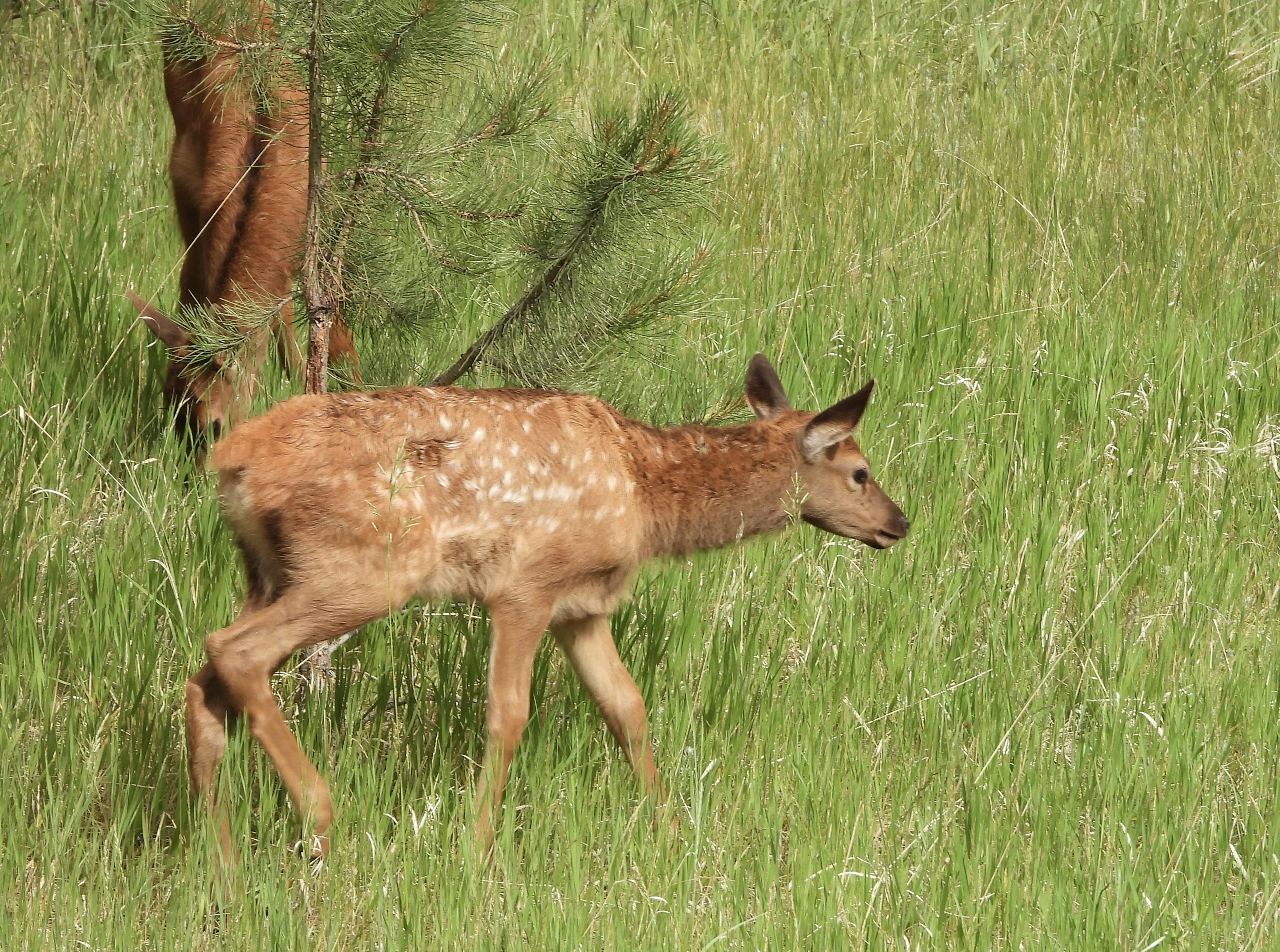 Photo by evergreene24