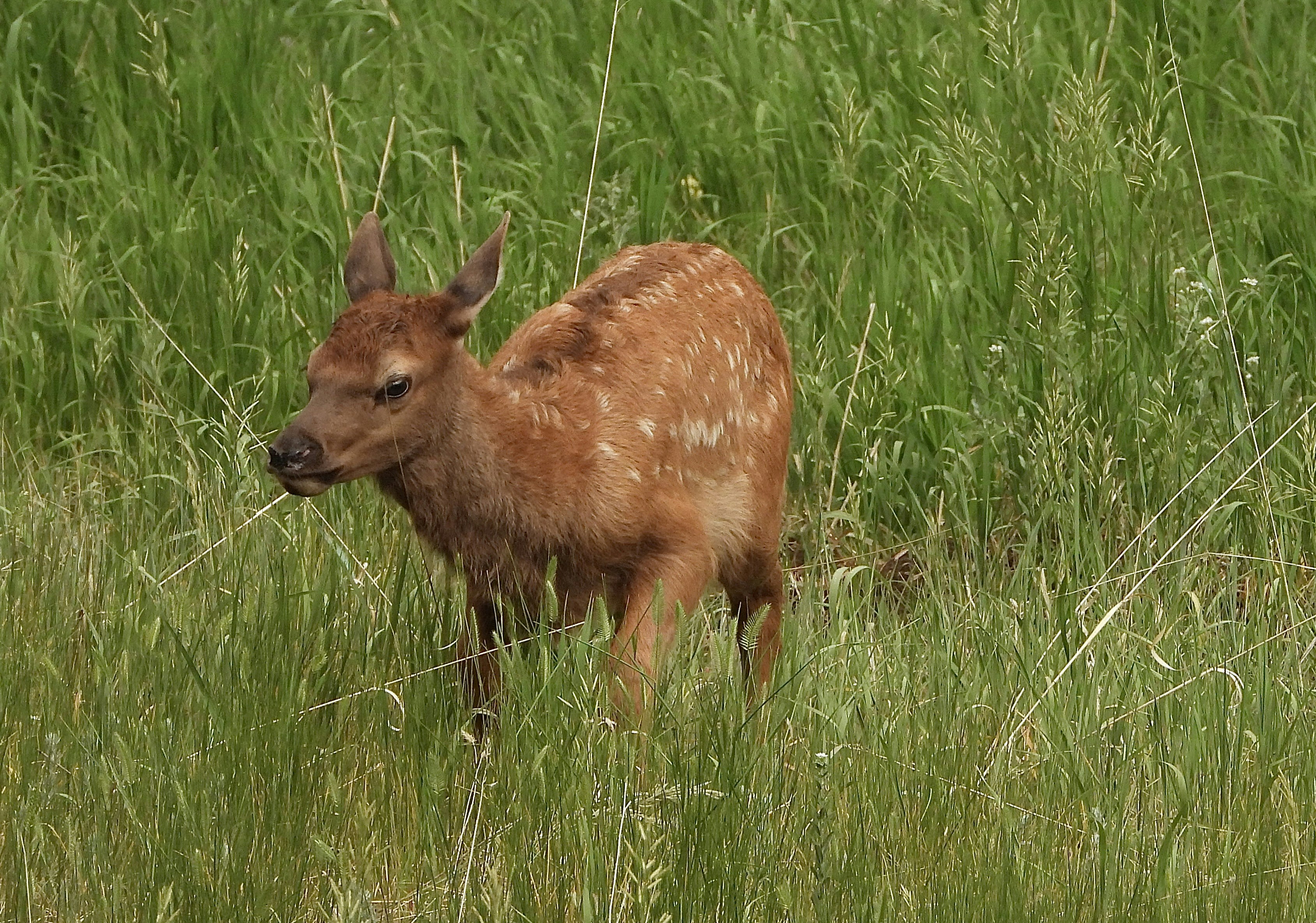 Photo by evergreene24