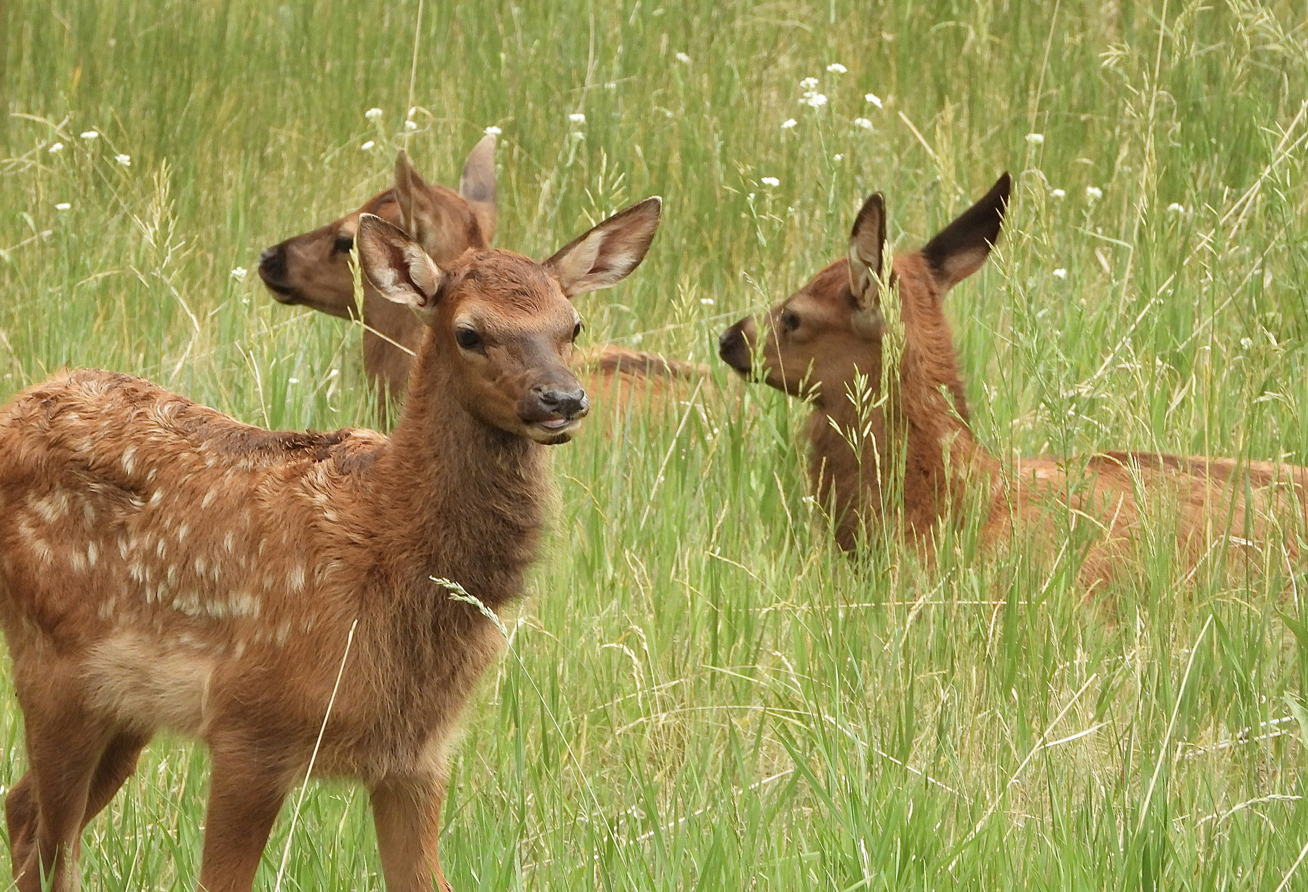 Photo by evergreene24