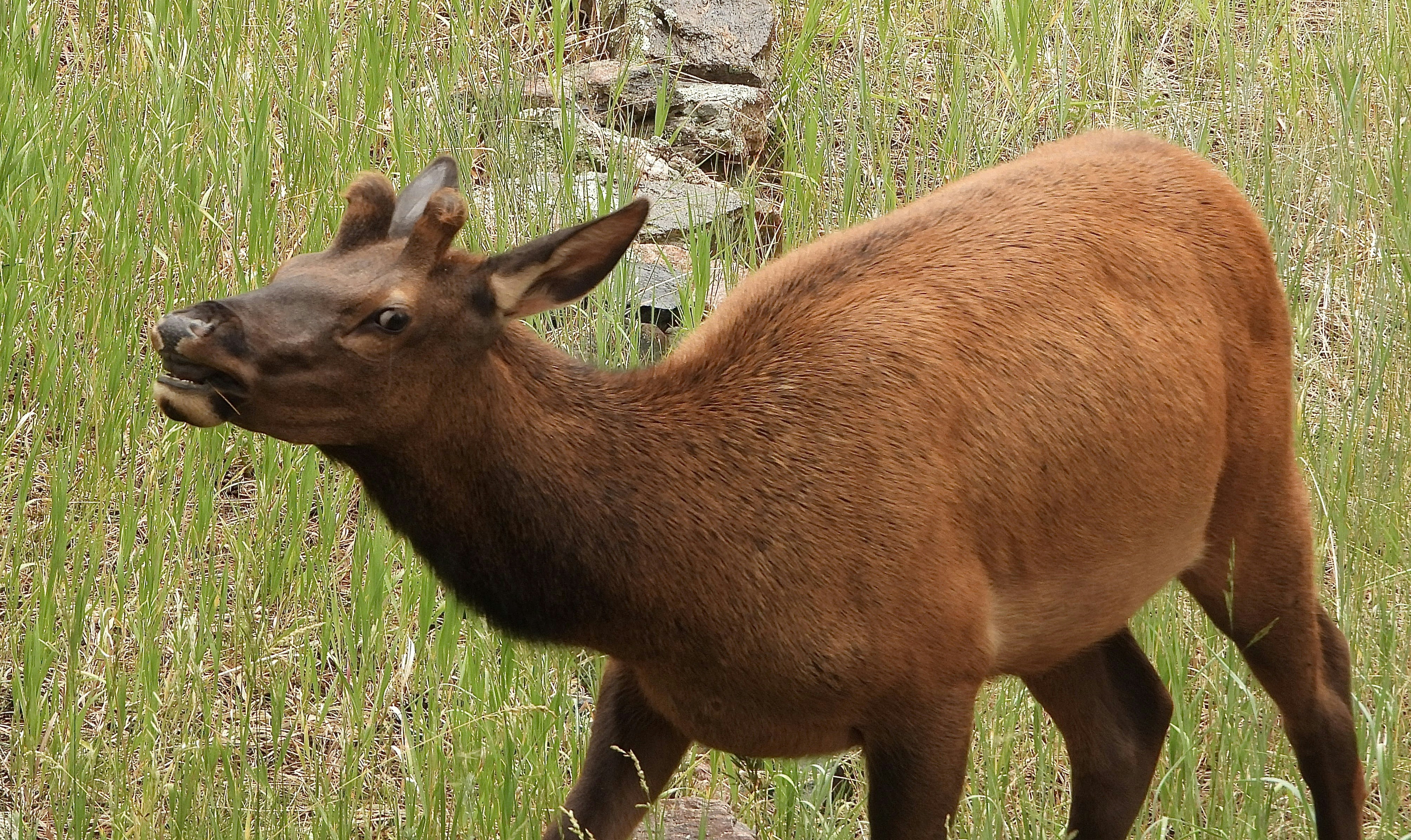 Photo by evergreene24