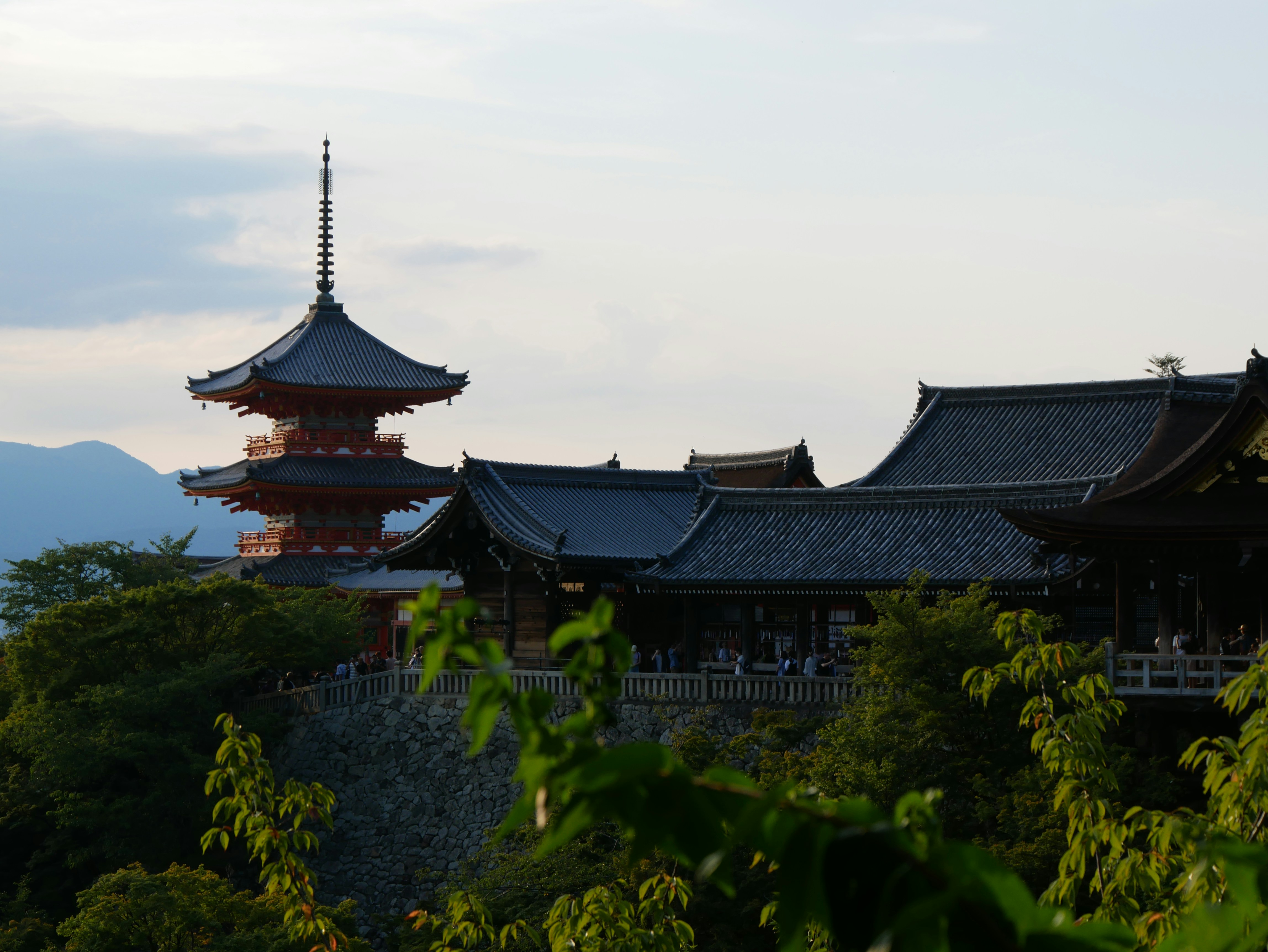 Photo by antonin_photo