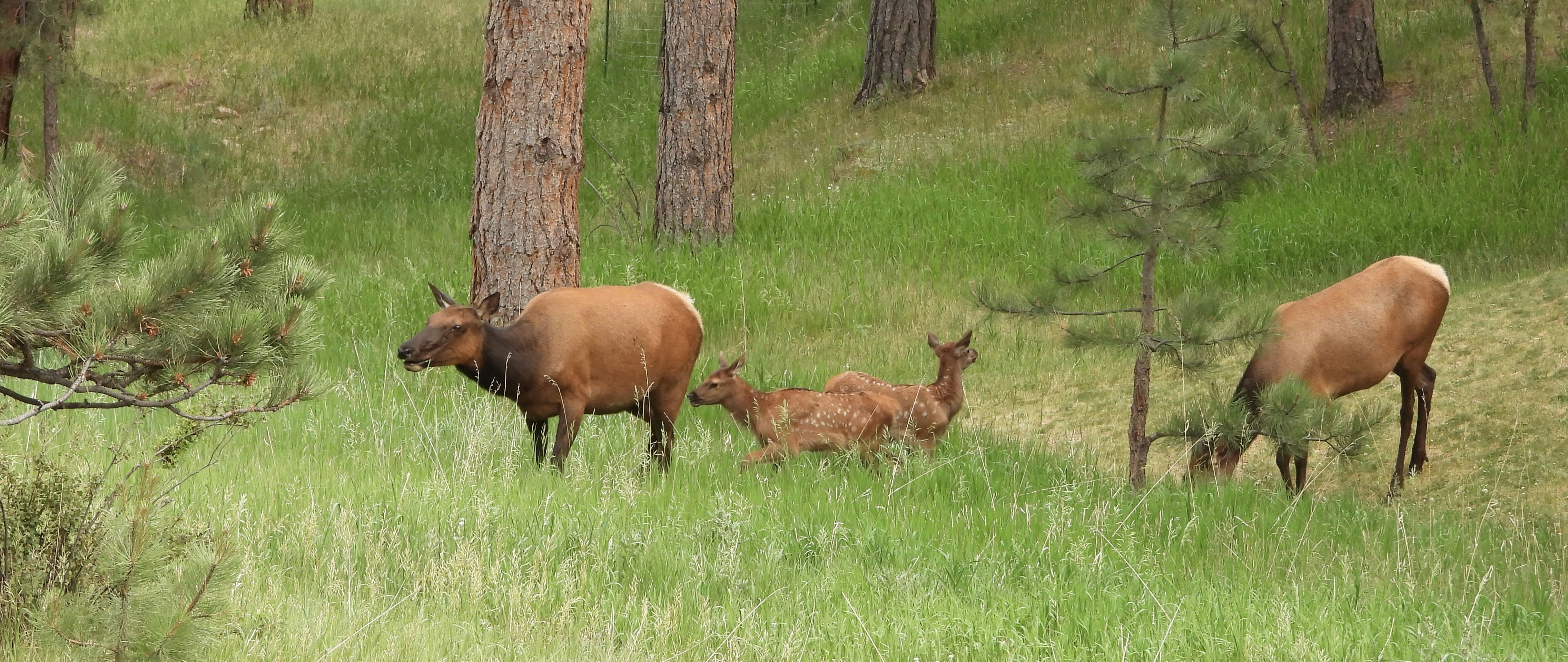 Photo by evergreene24