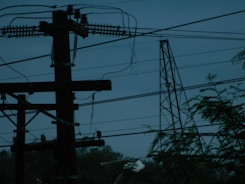 A bird sitting on top of a power pole