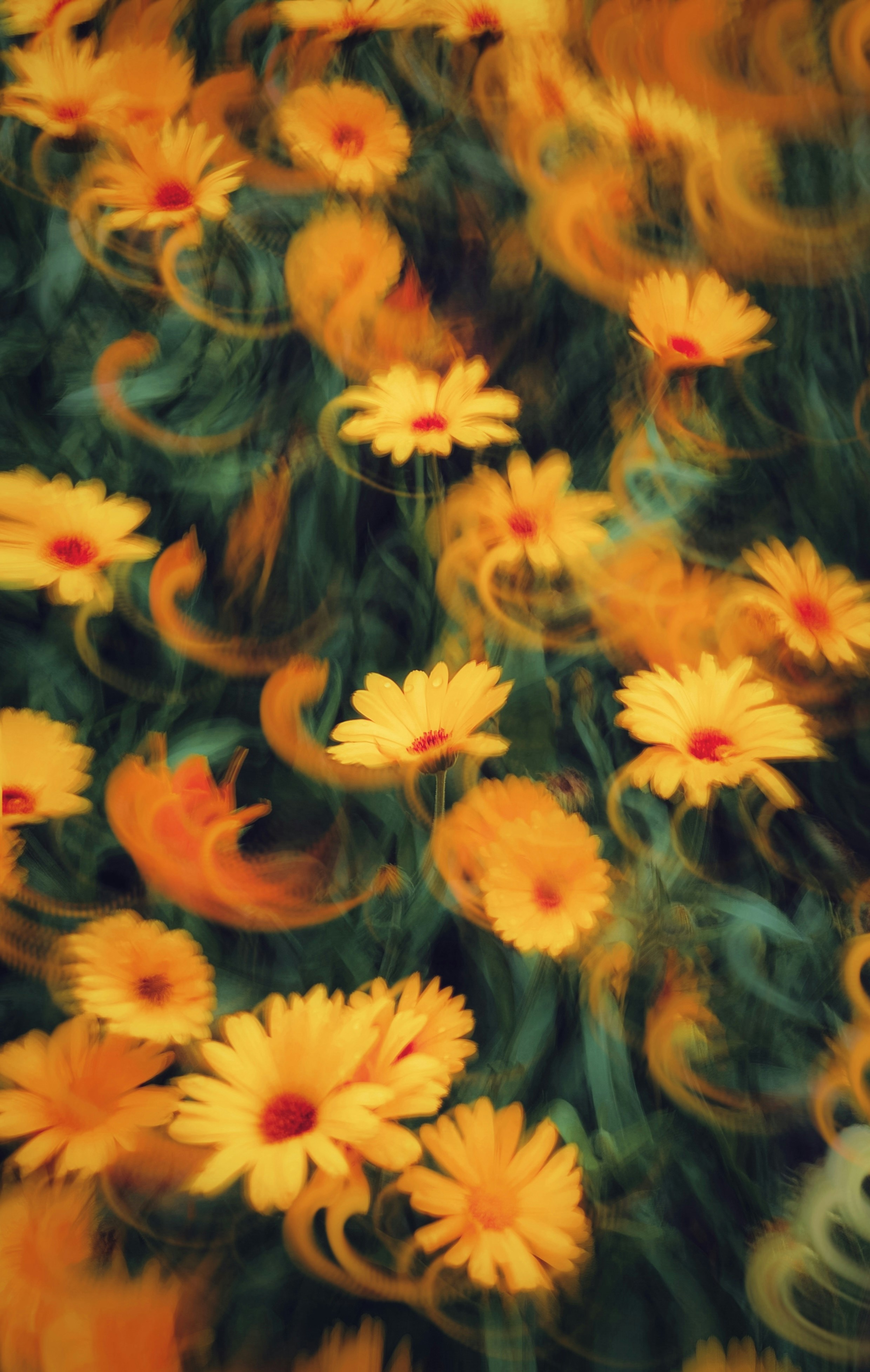 Photo by eugene_golovesov