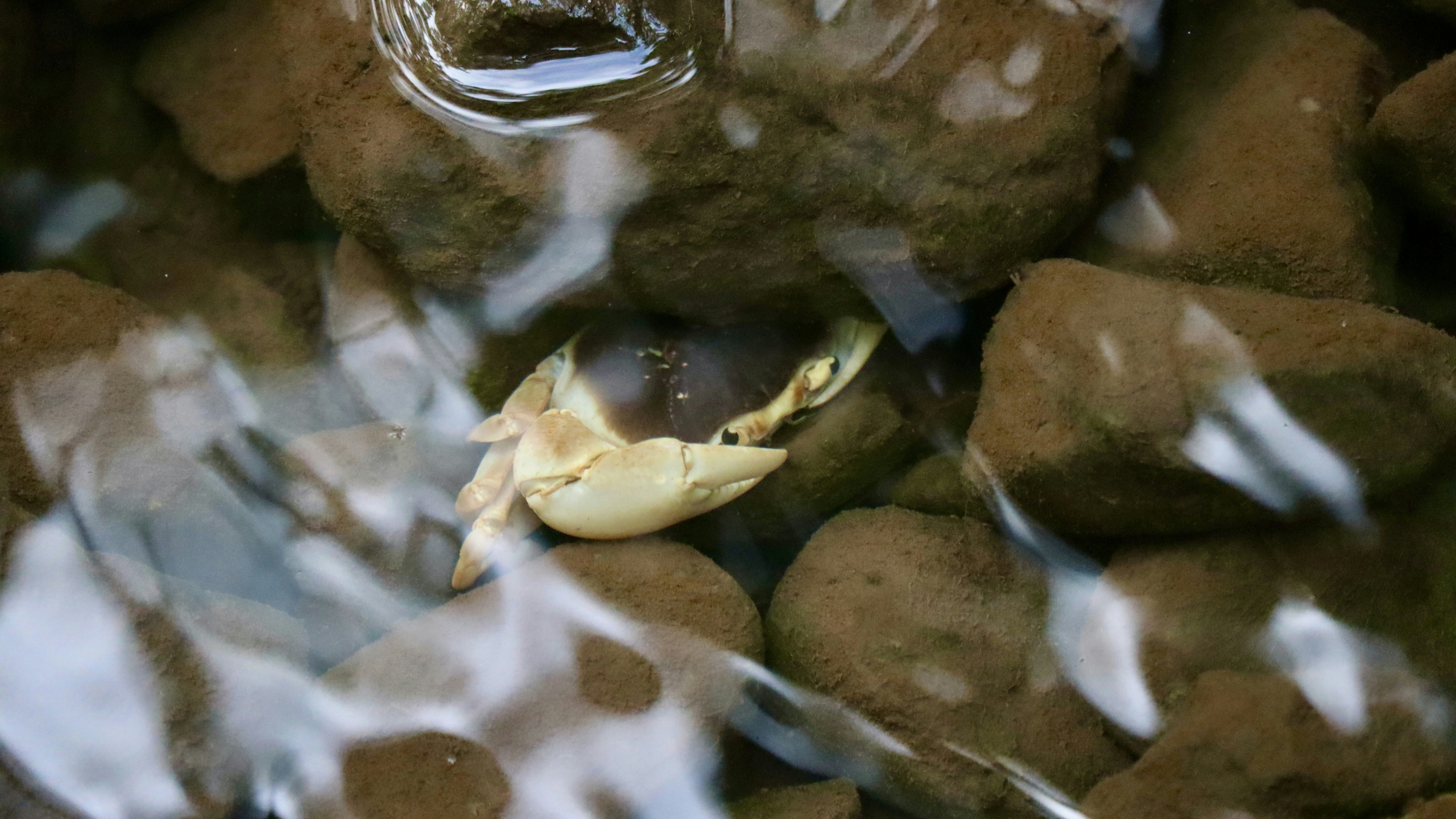 Eine Nahaufnahme von Felsen mit einem Wassertropfen
