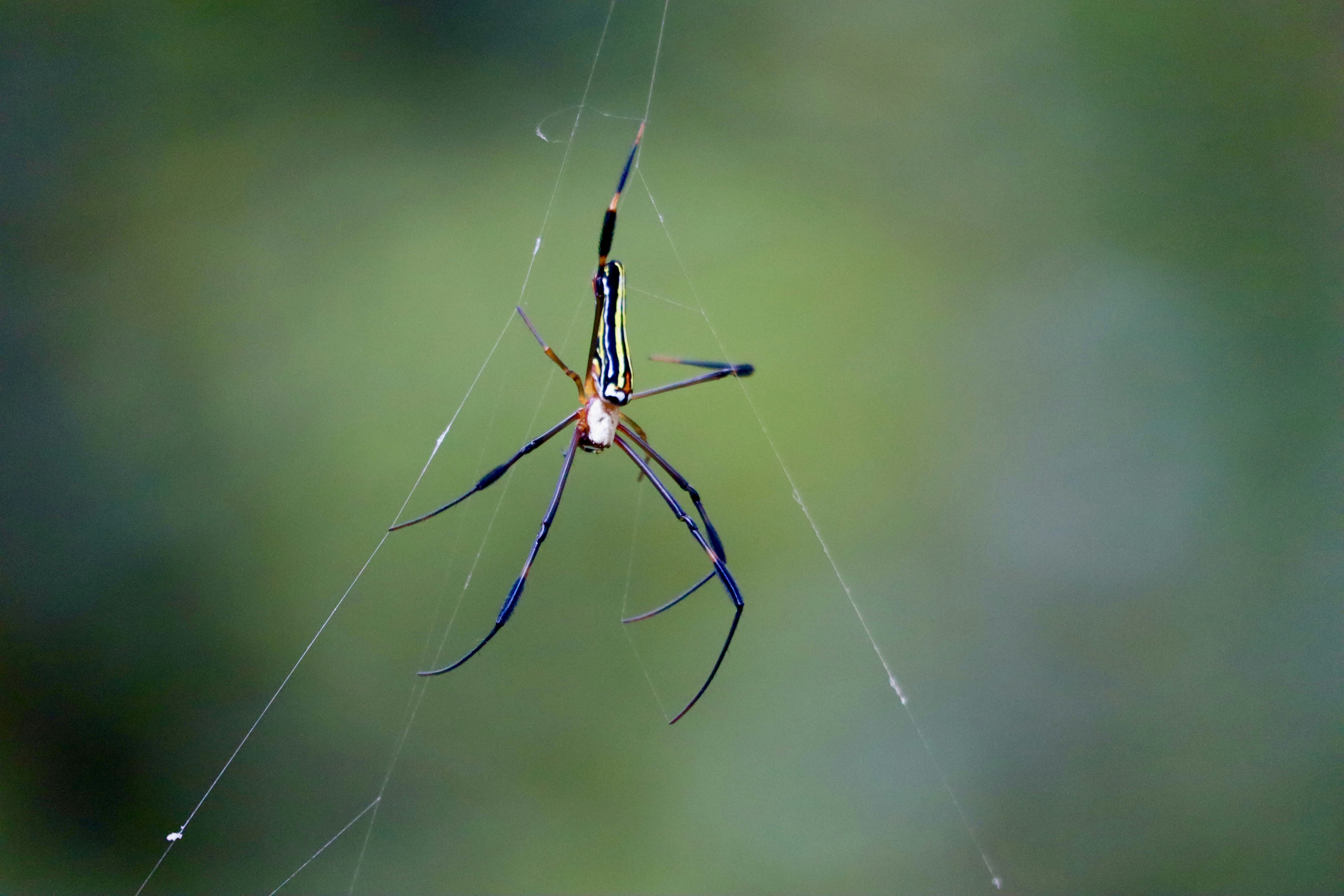 Photo by vineet_pathak