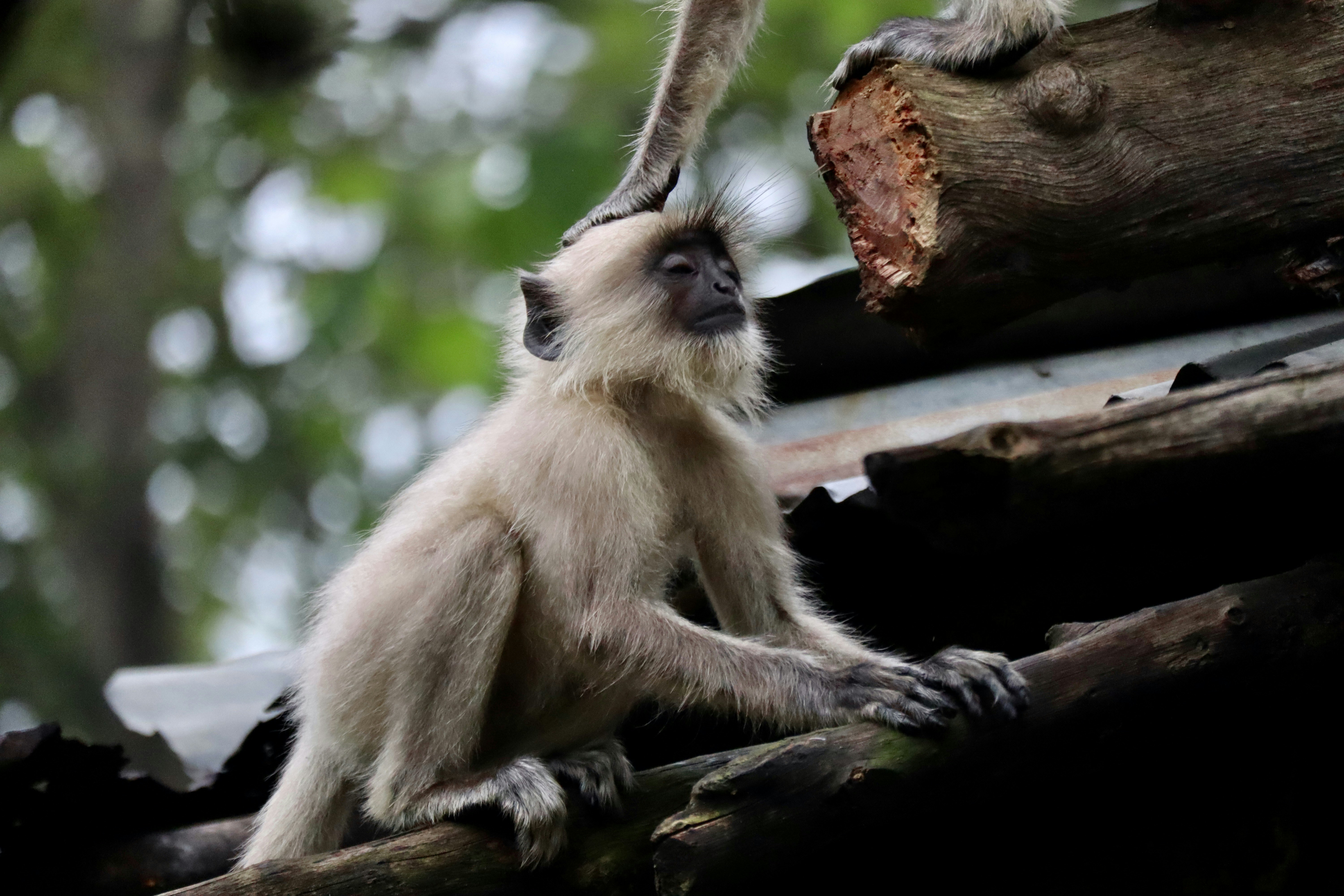 Photo by vineet_pathak