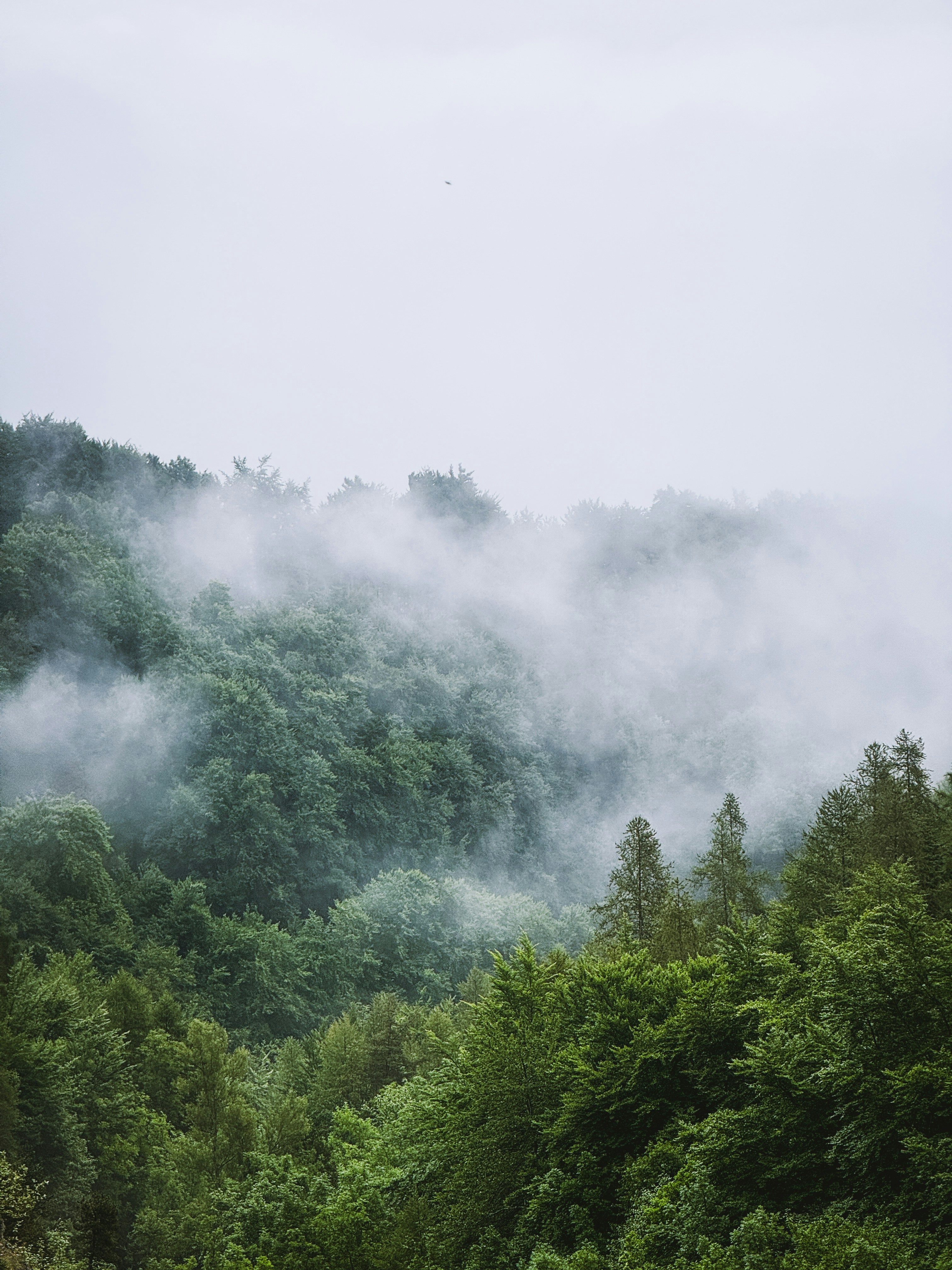 Photo by kevinbessat