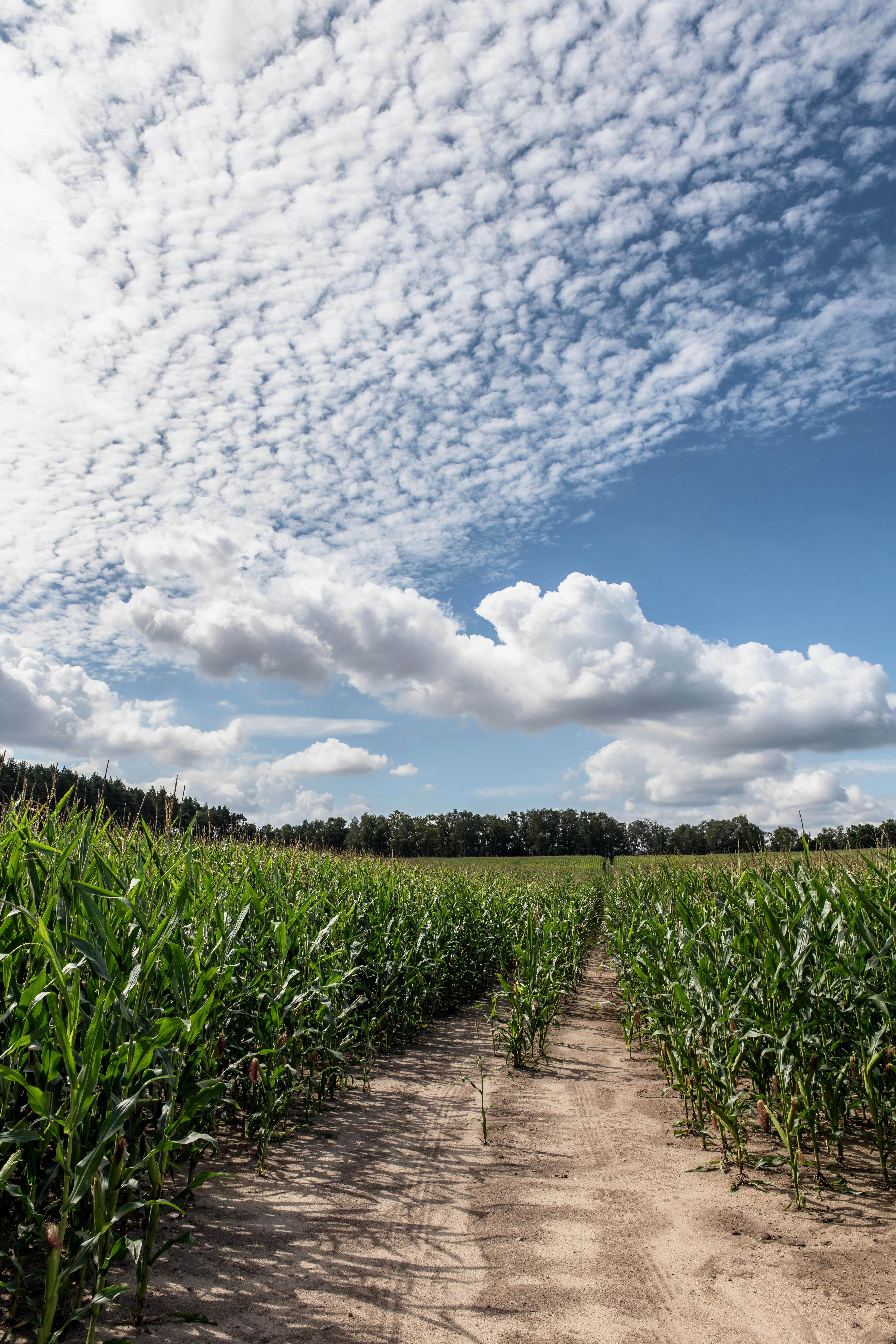 Photo by hamburgmeinefreundin