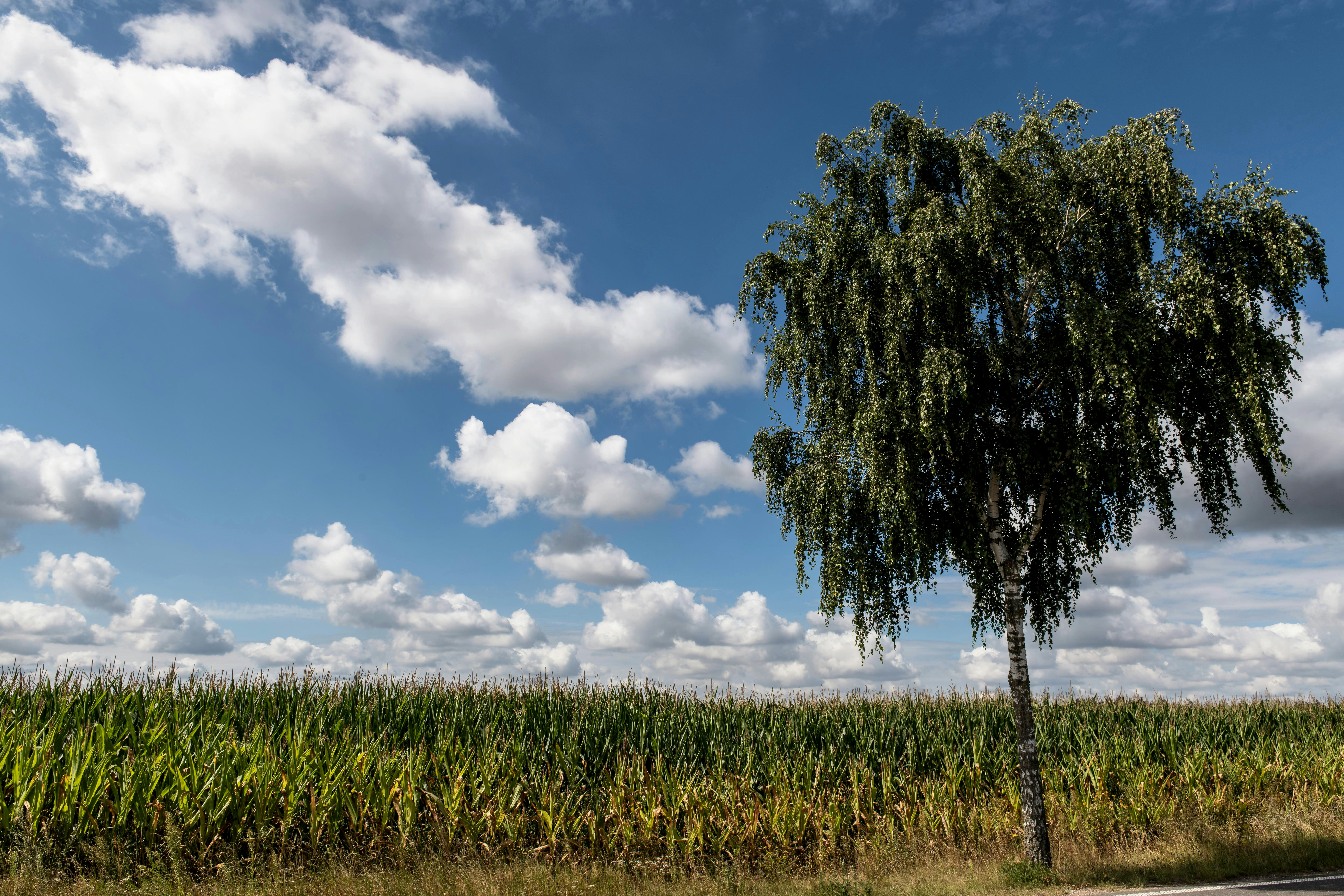 Photo by hamburgmeinefreundin