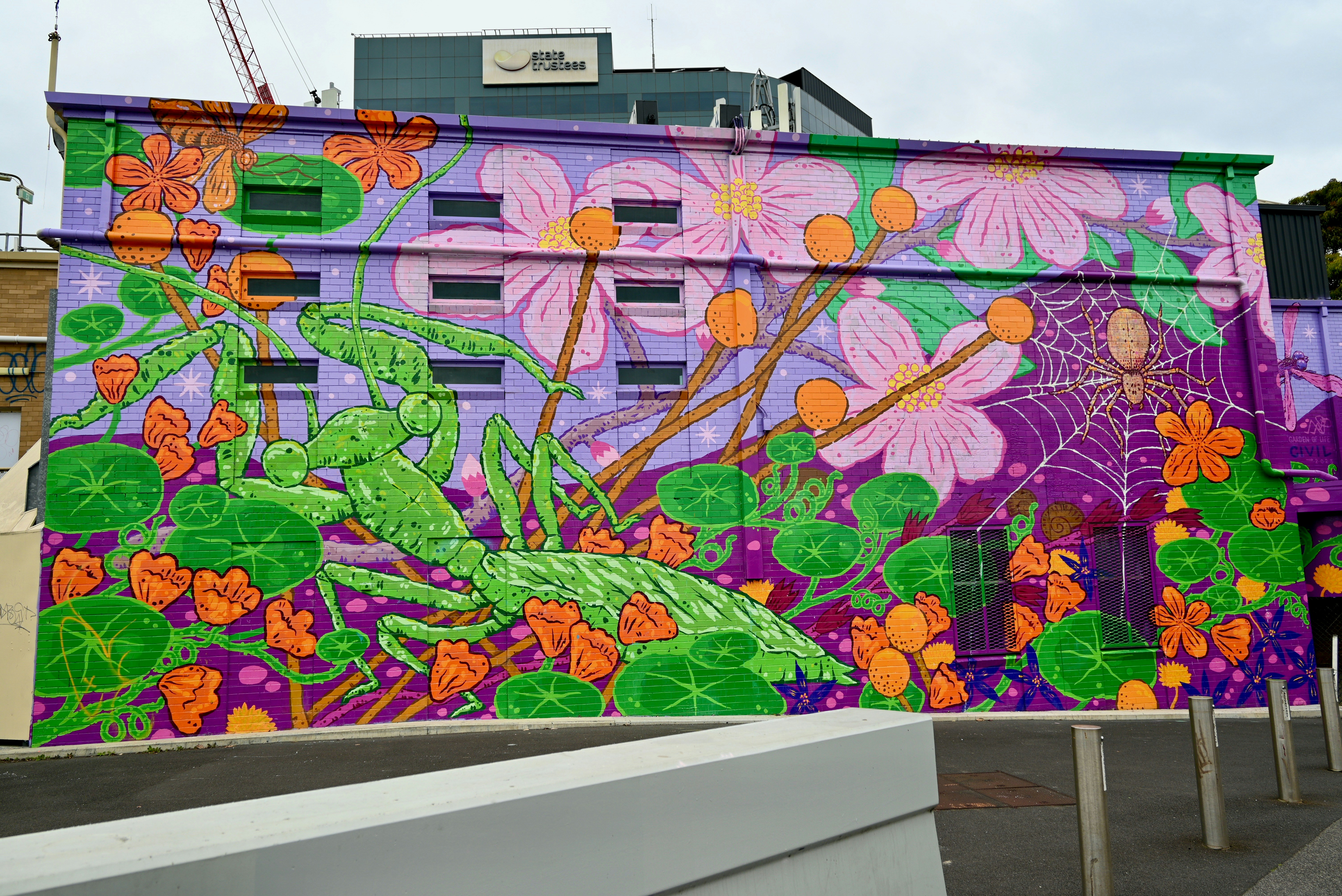 Photo by thewayweare