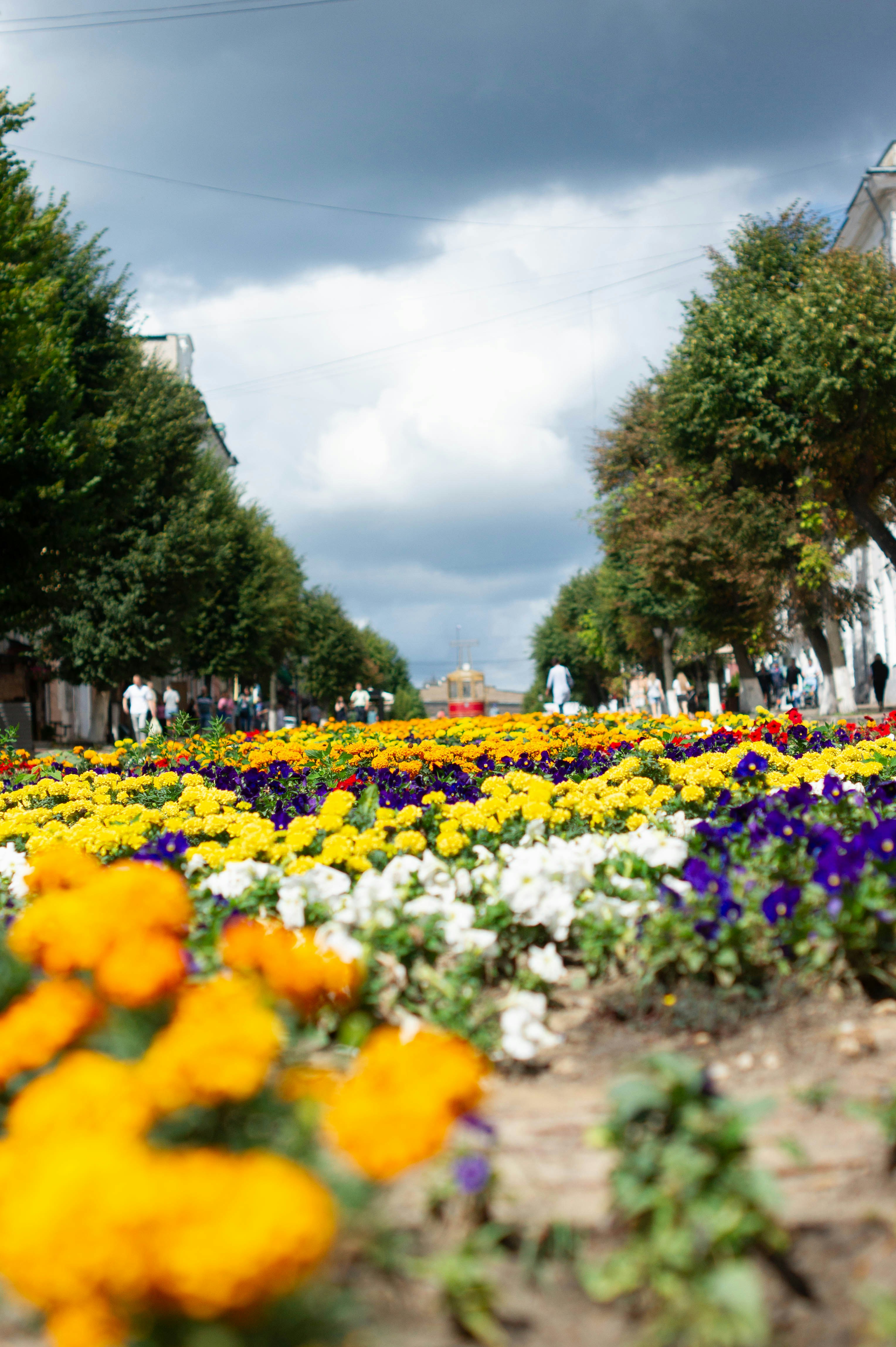 A vibrant section of Kungsparken in Malmö with colorful flowers and walking paths