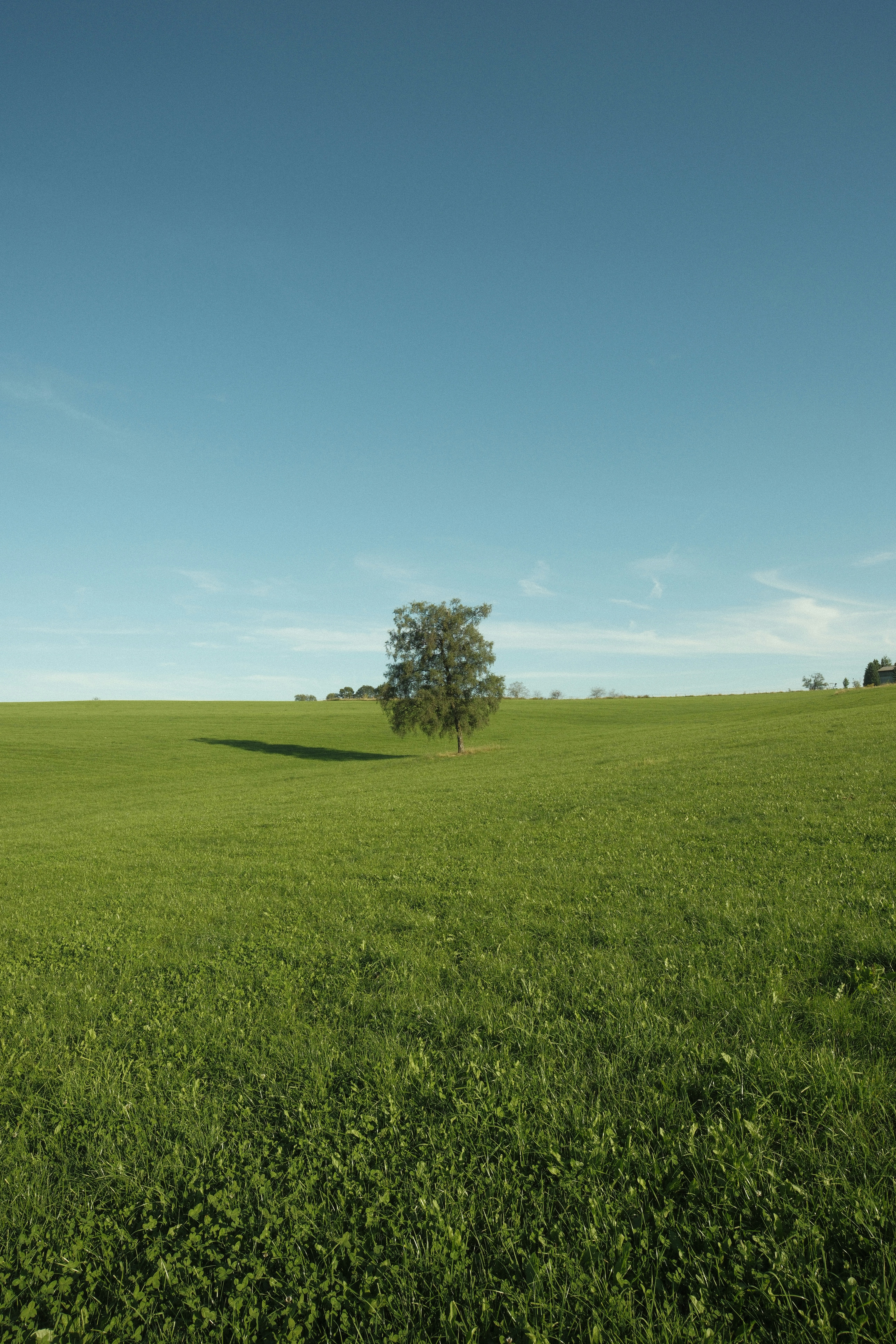 Photo by real_robster