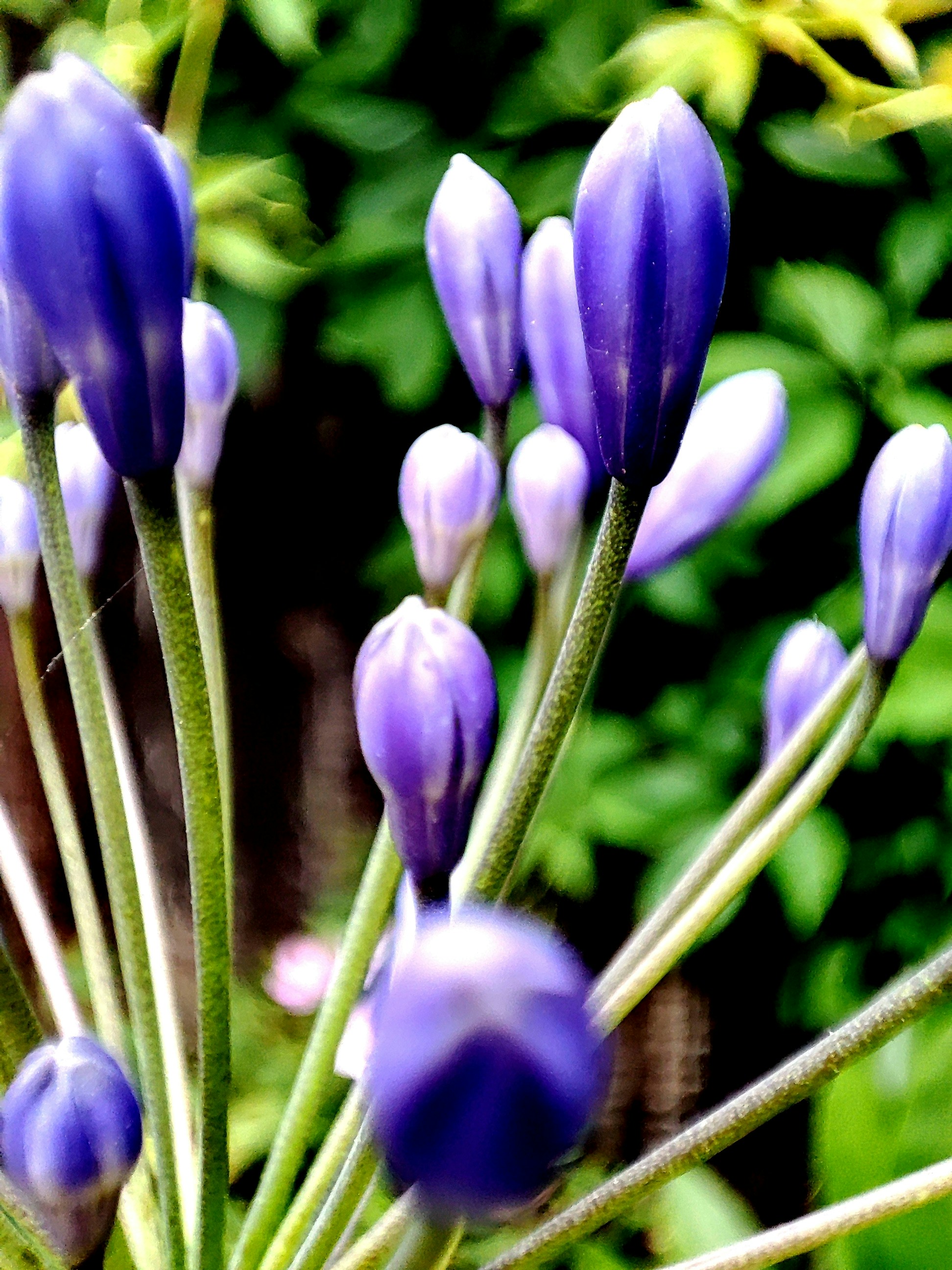 Photo by walkswithmycamera