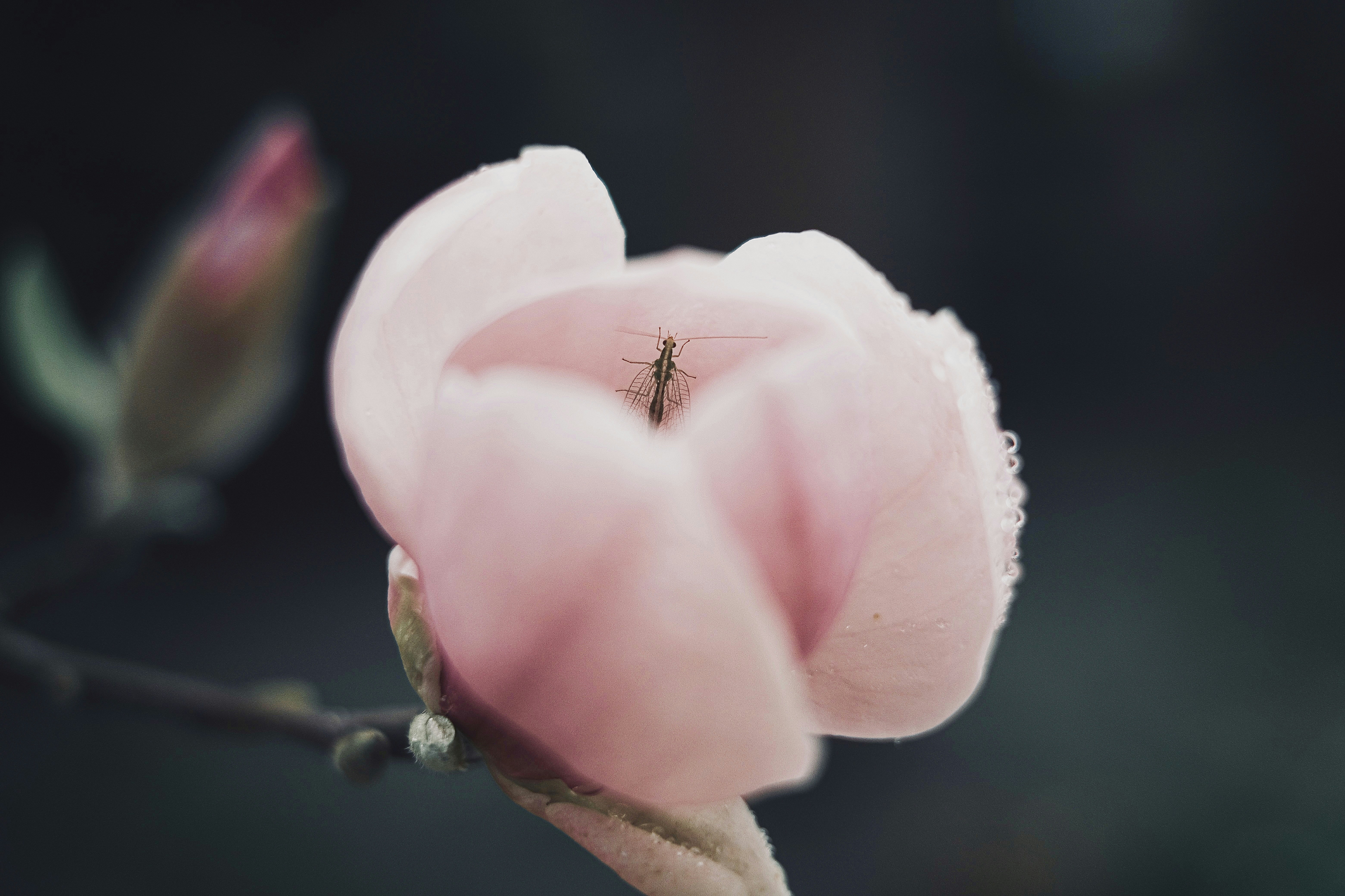 Photo by mkrawczynski