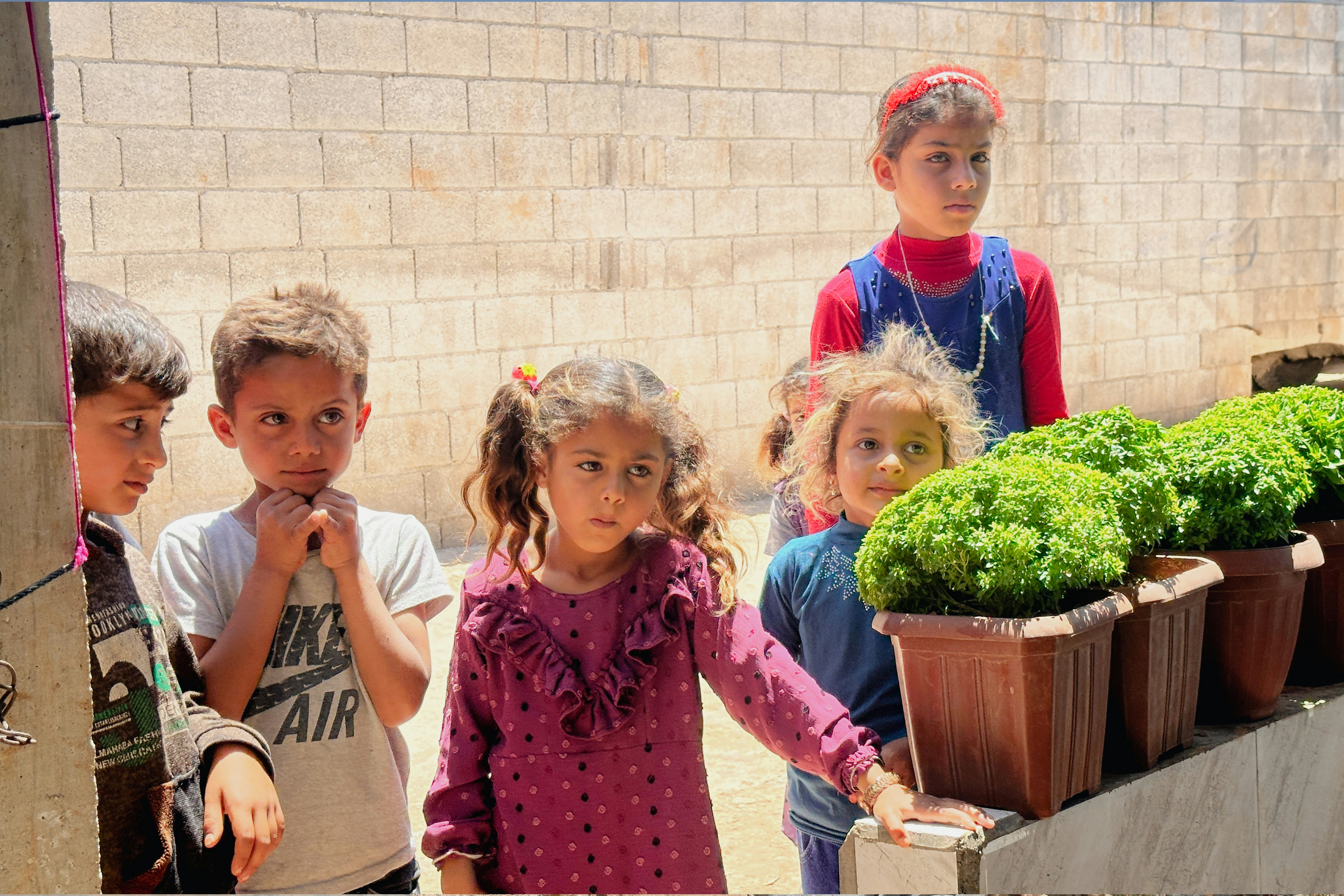 Photo by salahdarwish