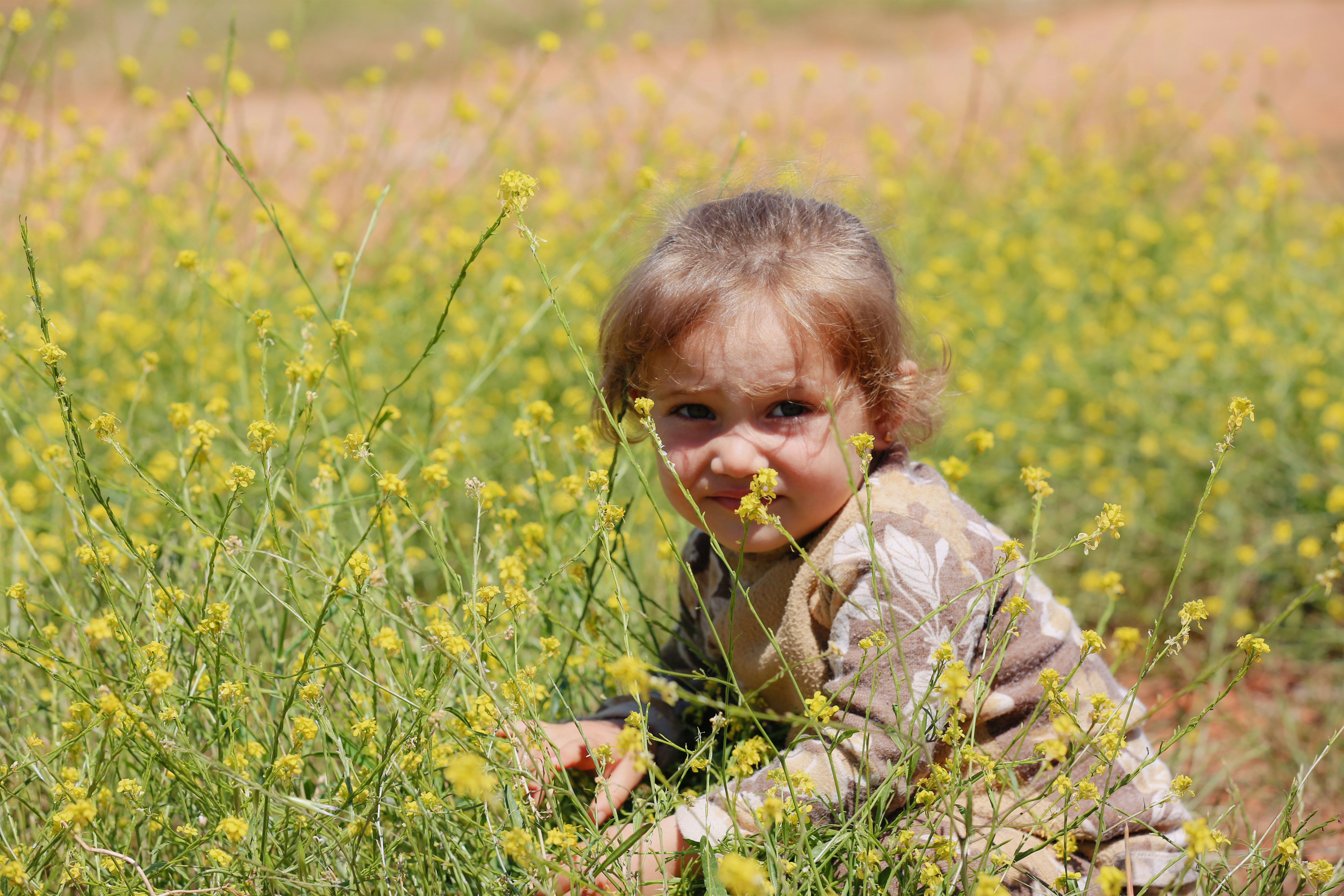 Photo by salahdarwish