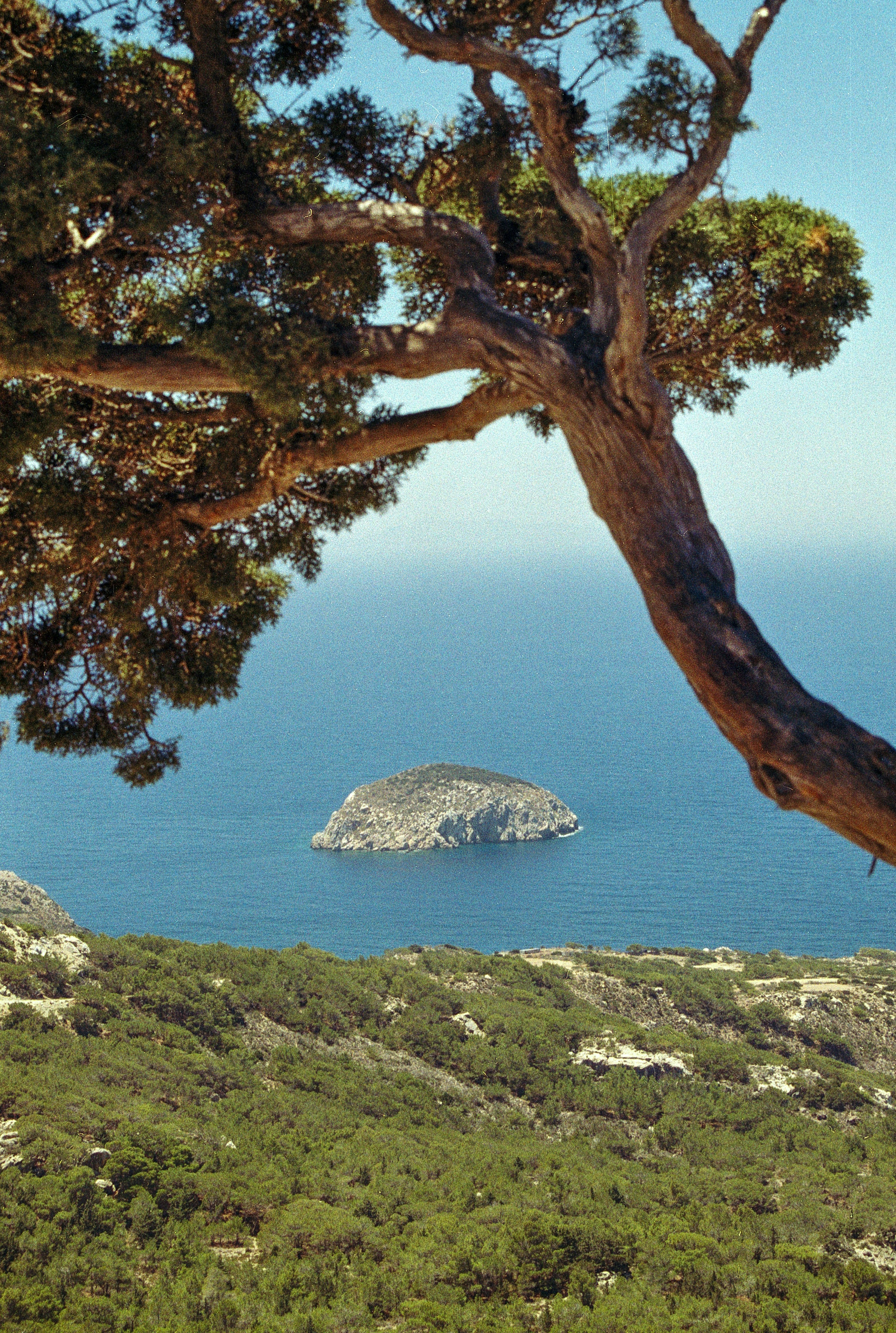 Photo by artistseyes