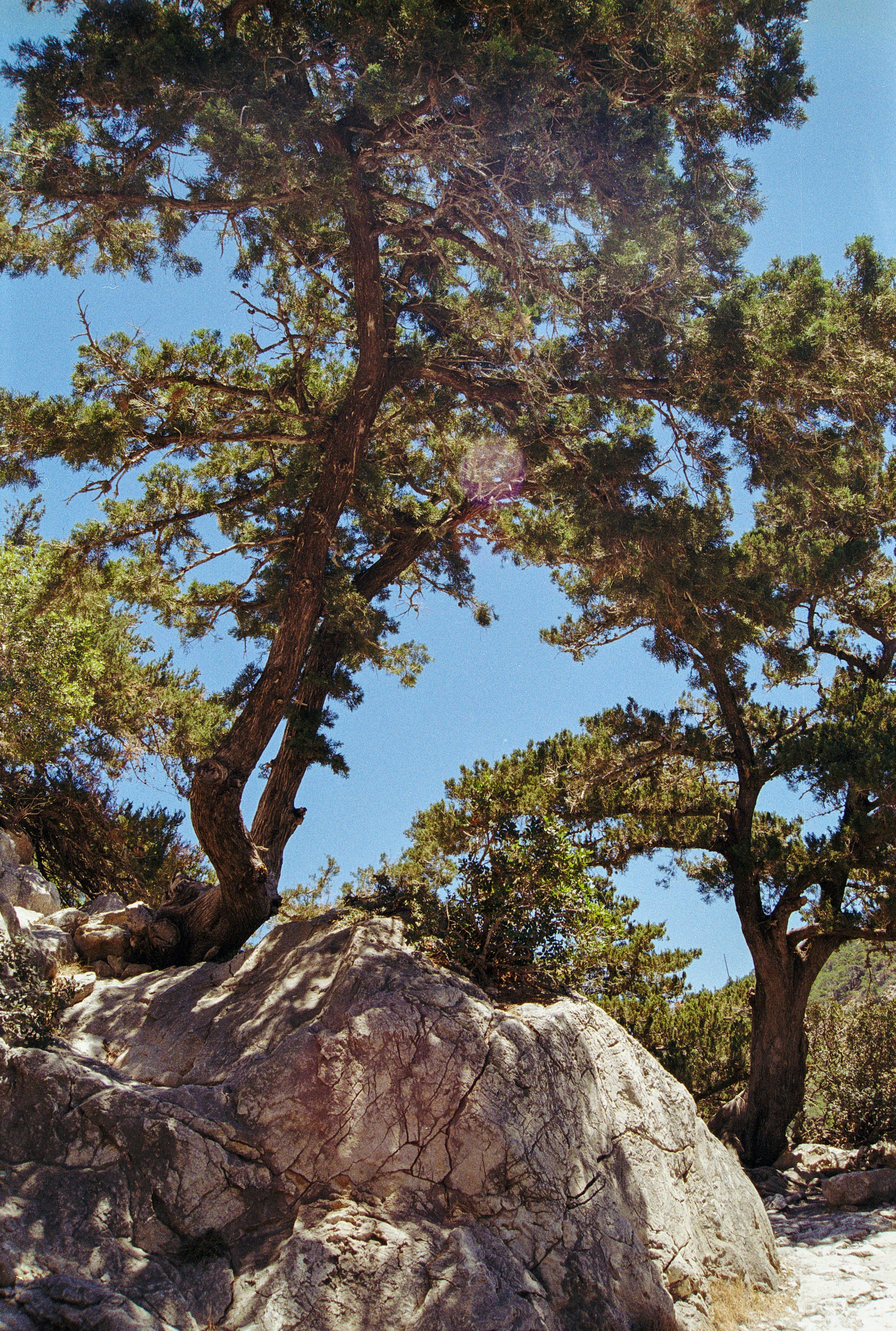 Photo by artistseyes