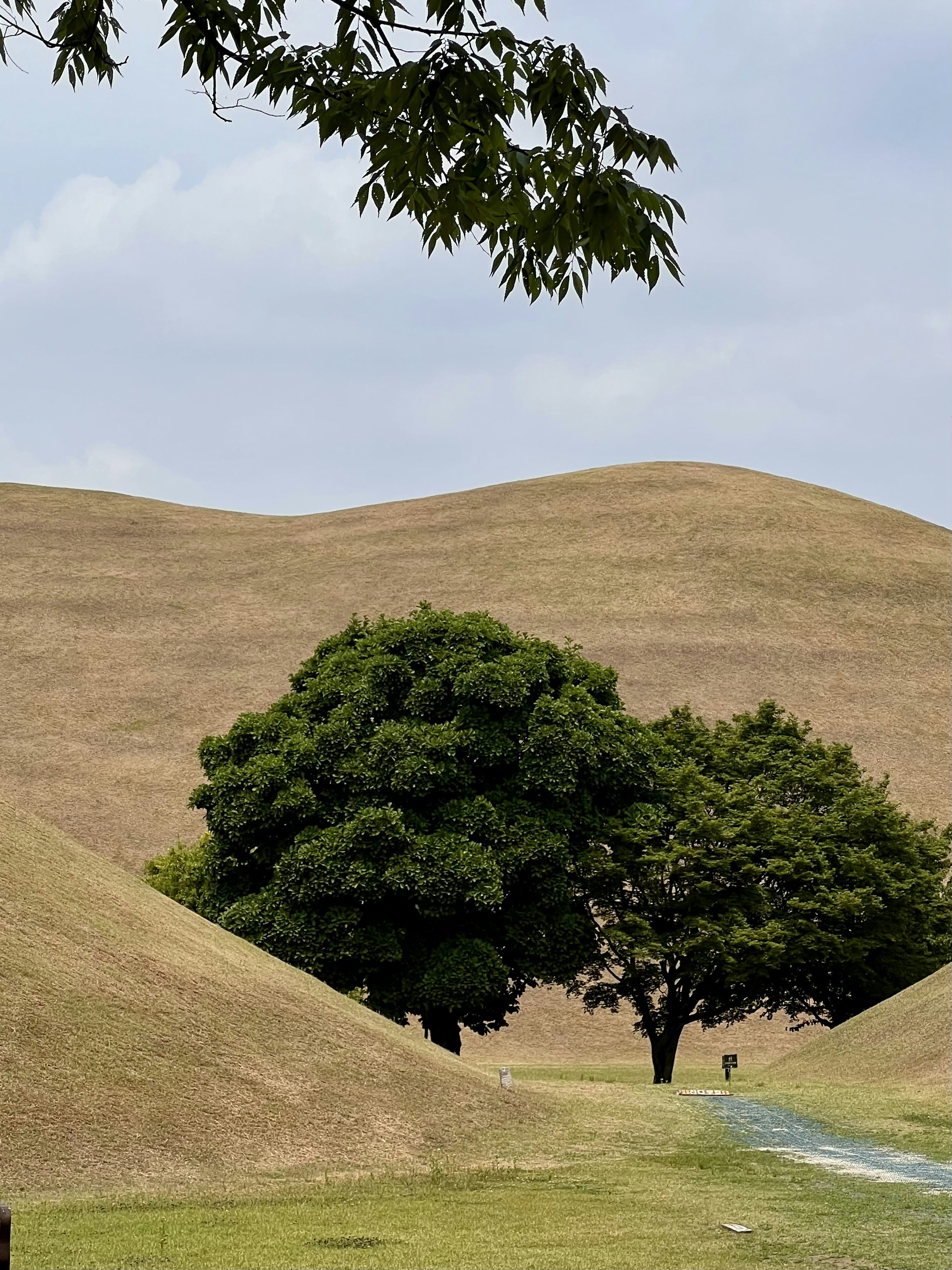 Gyeongju – Cultural & Historical Context