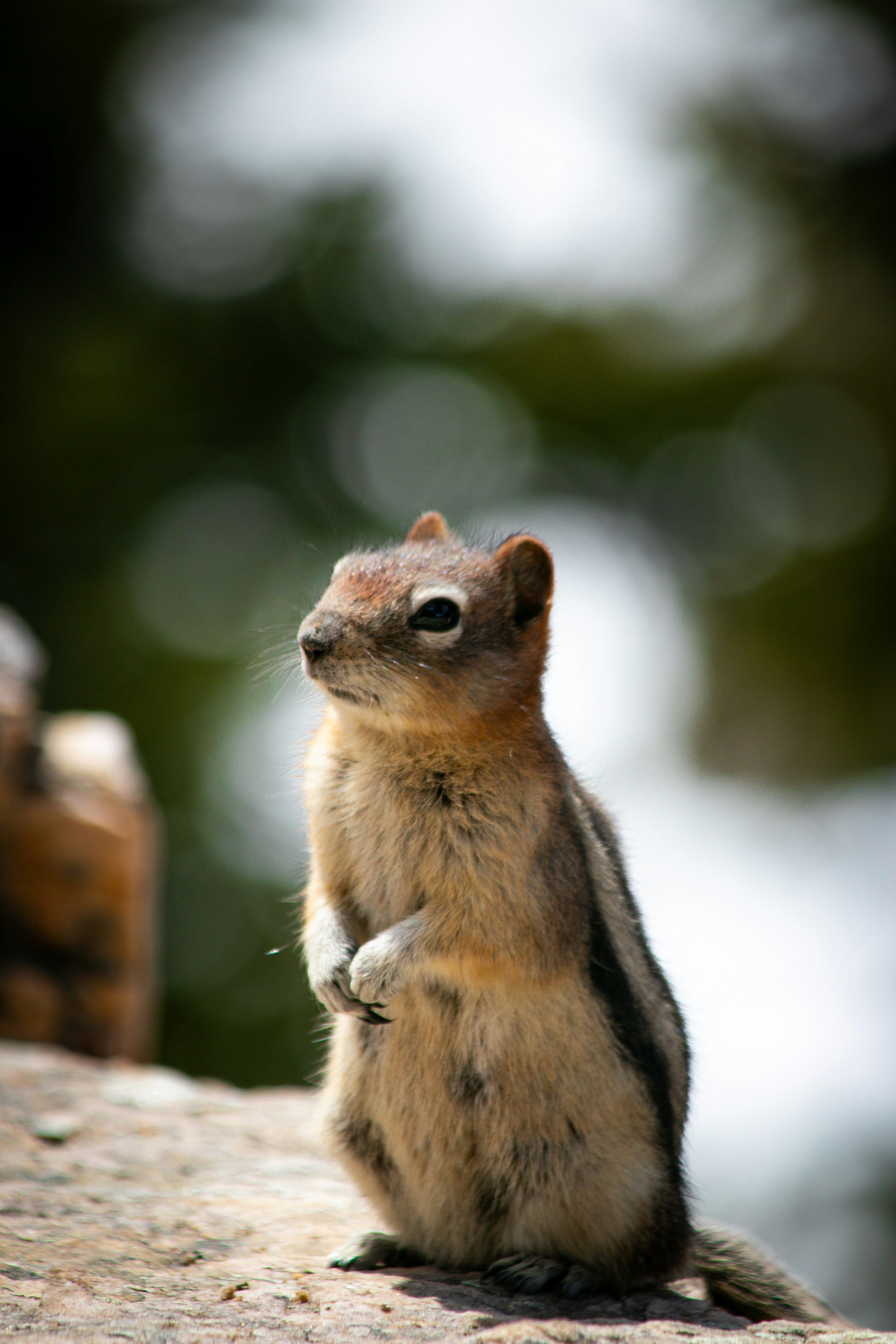 Photo by wlkr_photography