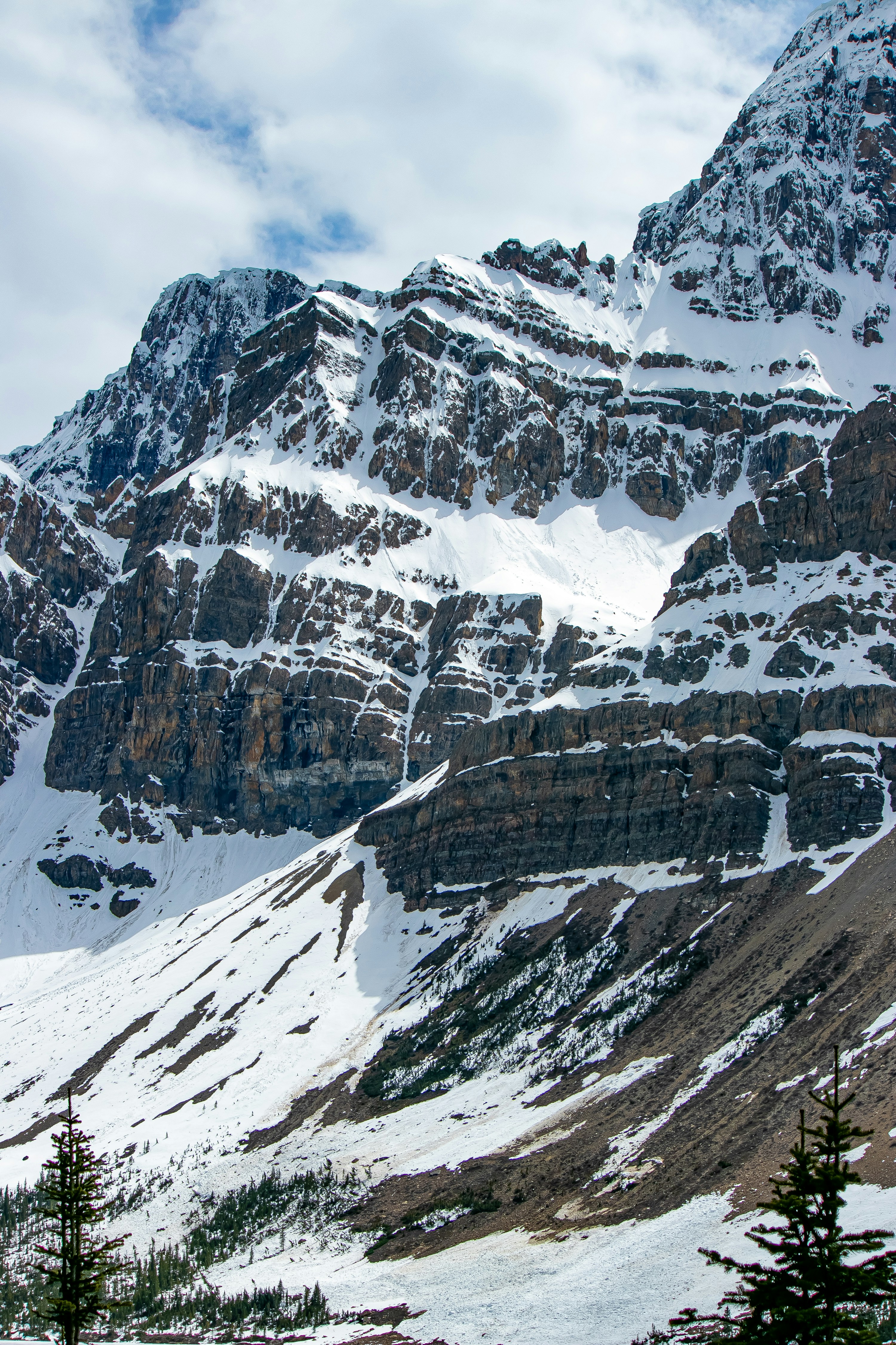 Photo by wlkr_photography