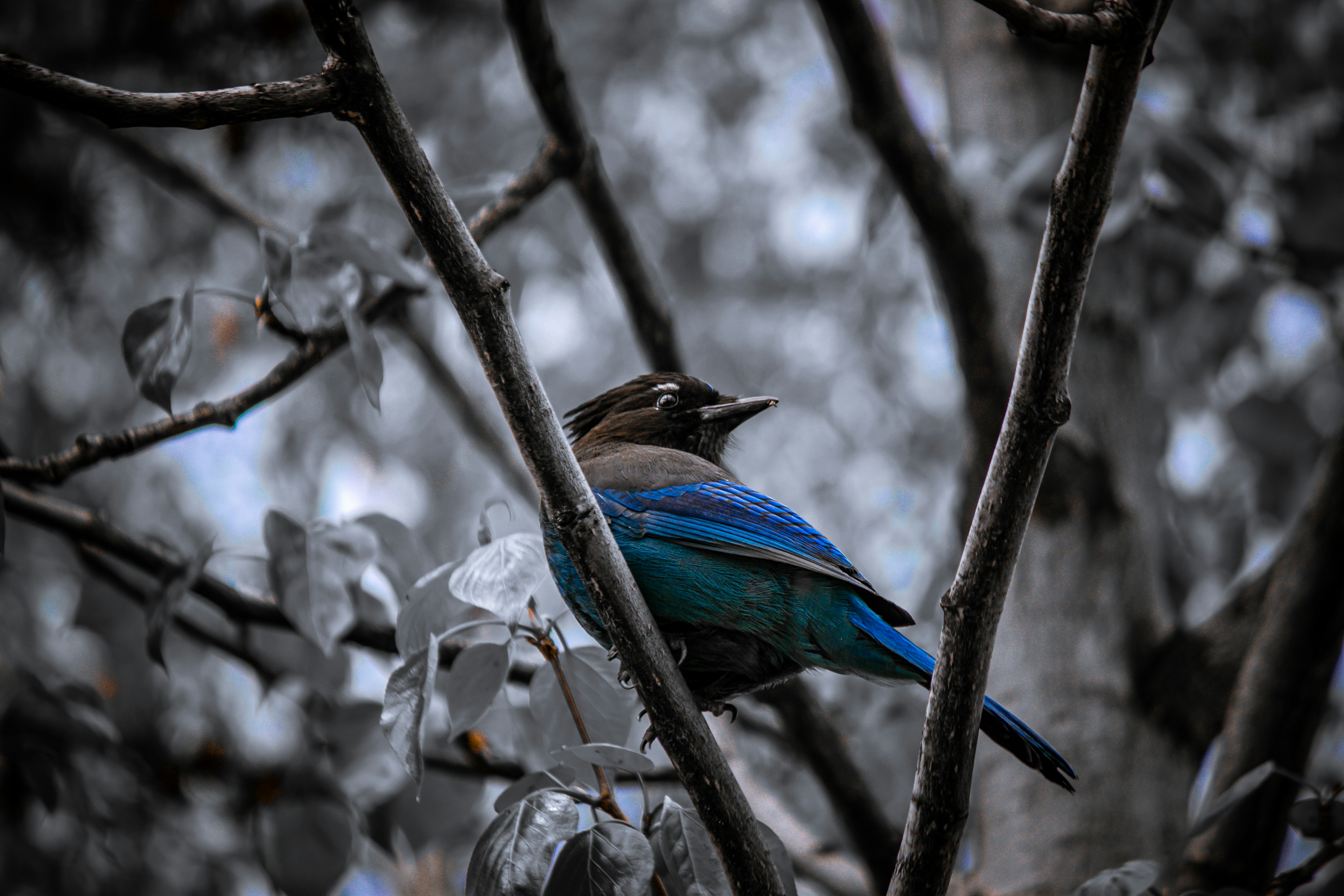Photo by wlkr_photography