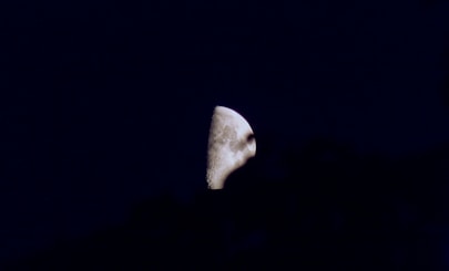 A white bird flying through a dark sky