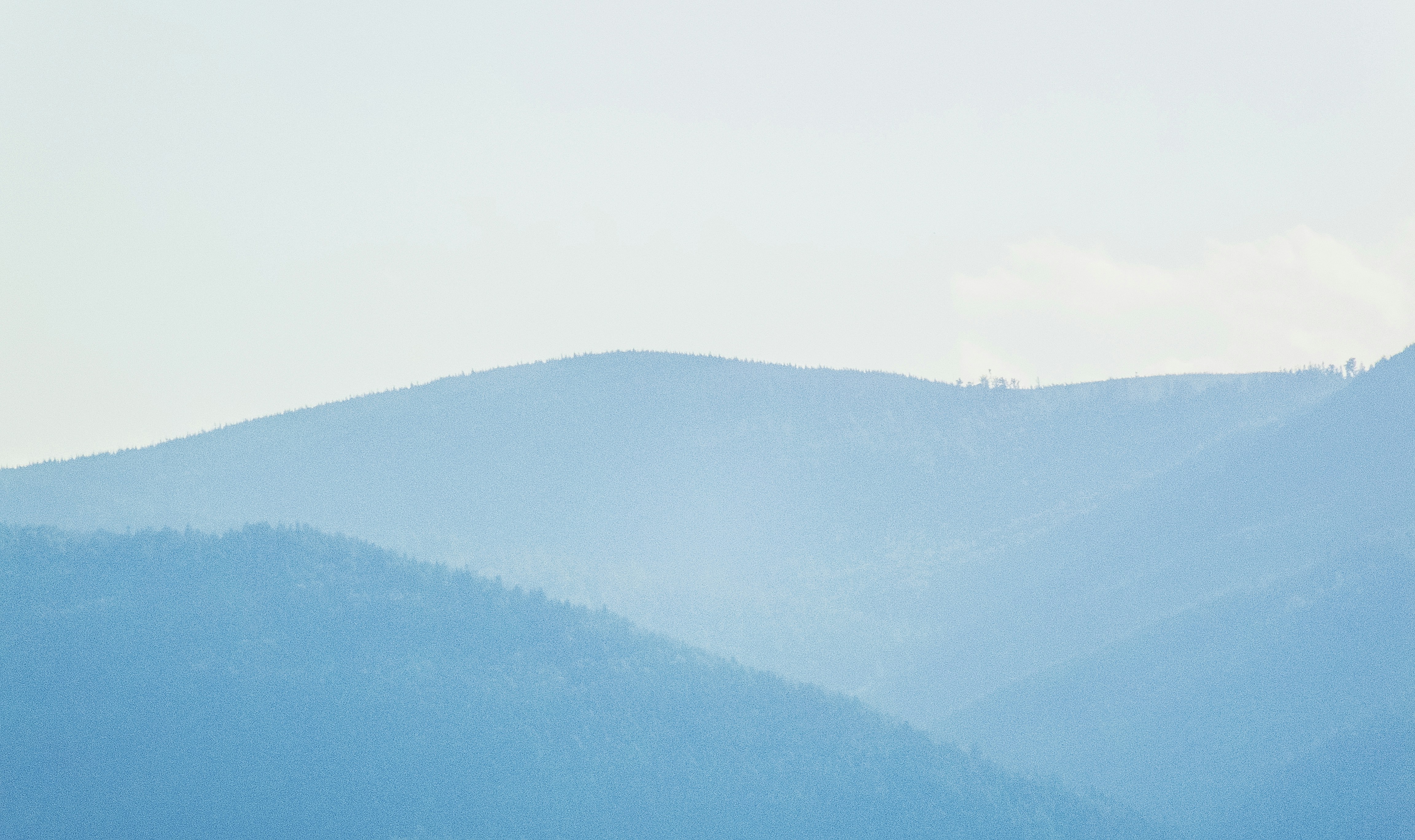 Photo by daryakor