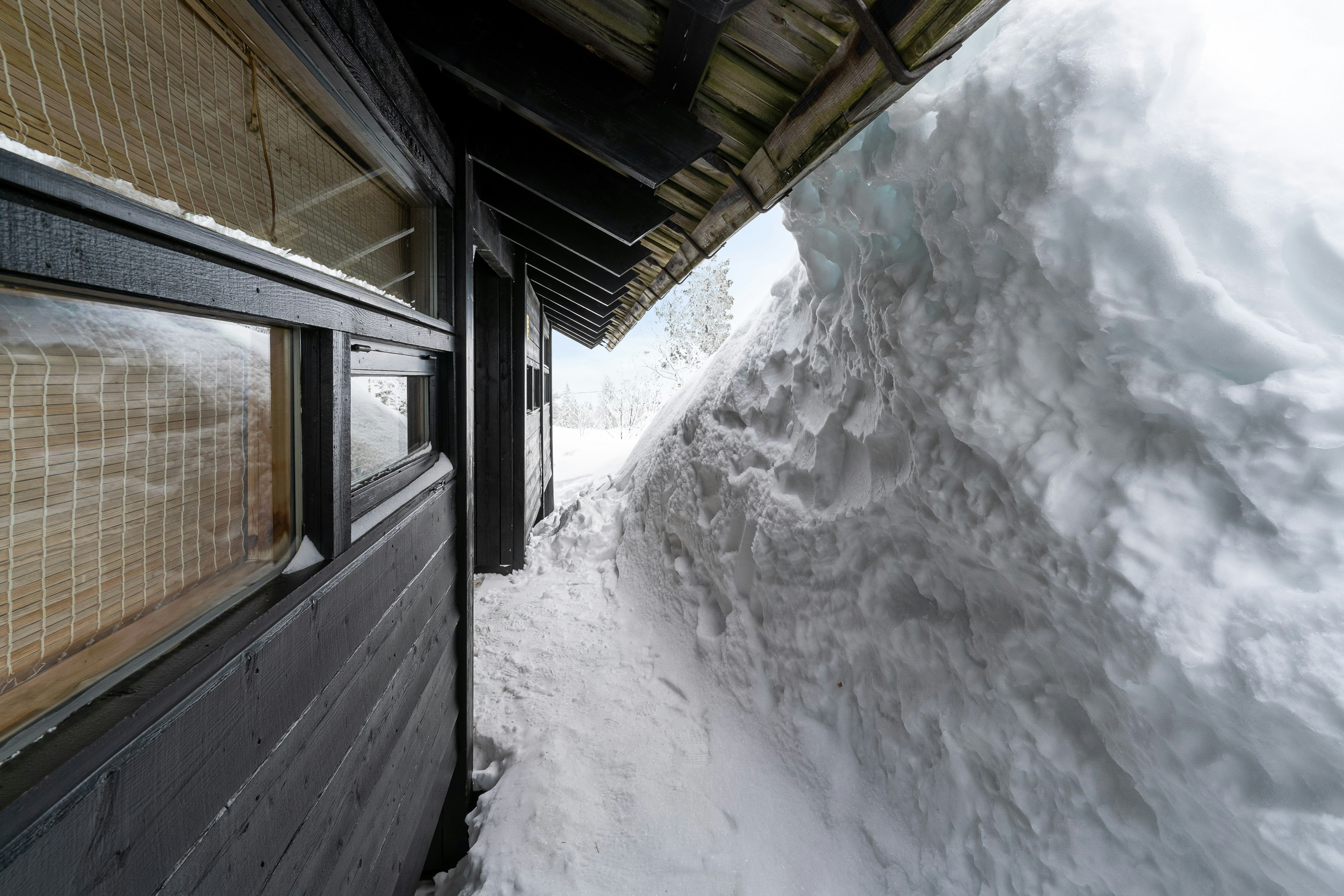 Photo by alextyson195