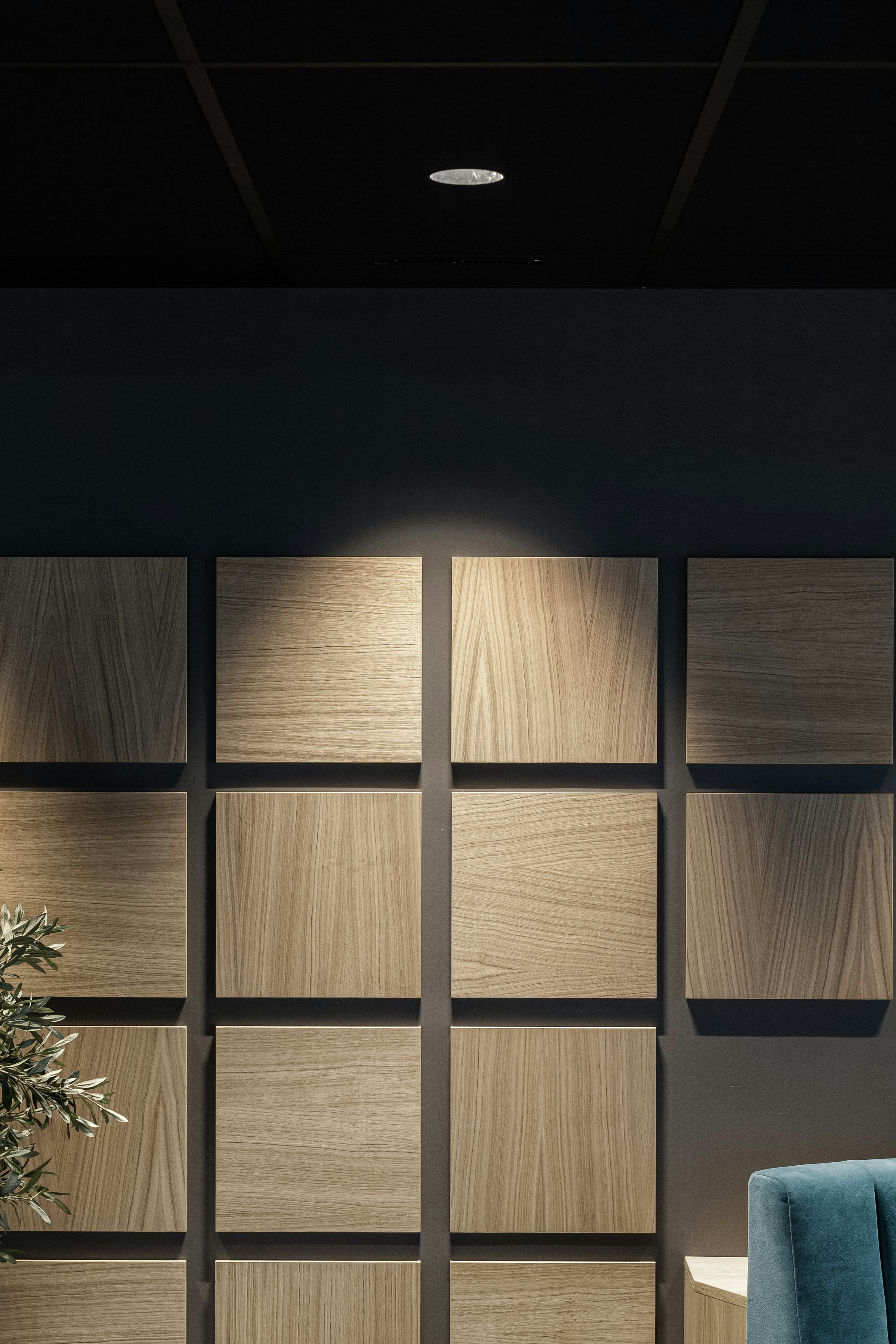 Photo by alextyson195