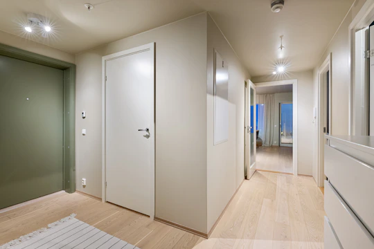 A hallway with a white door and a green wall