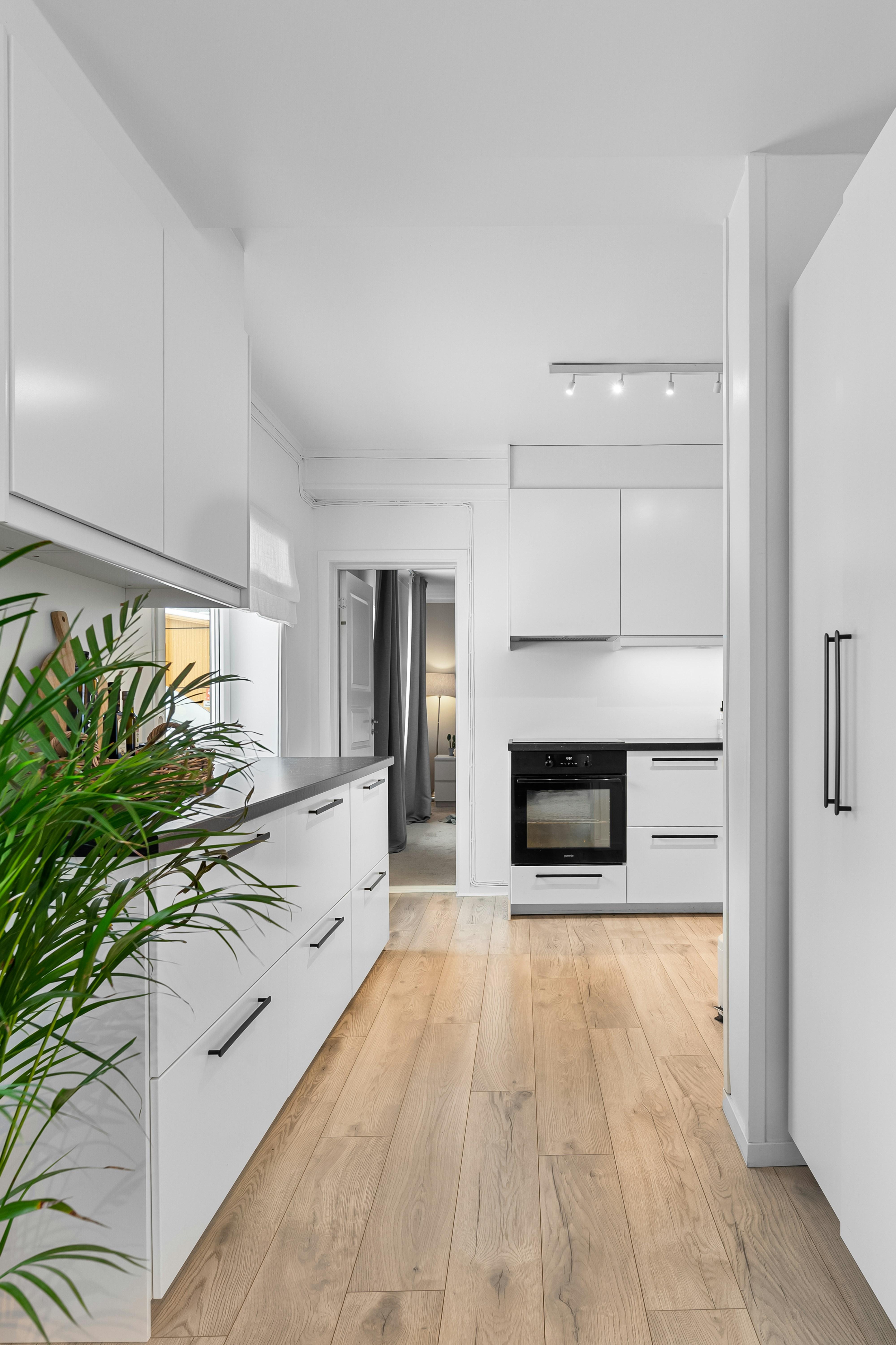 Photo by alextyson195