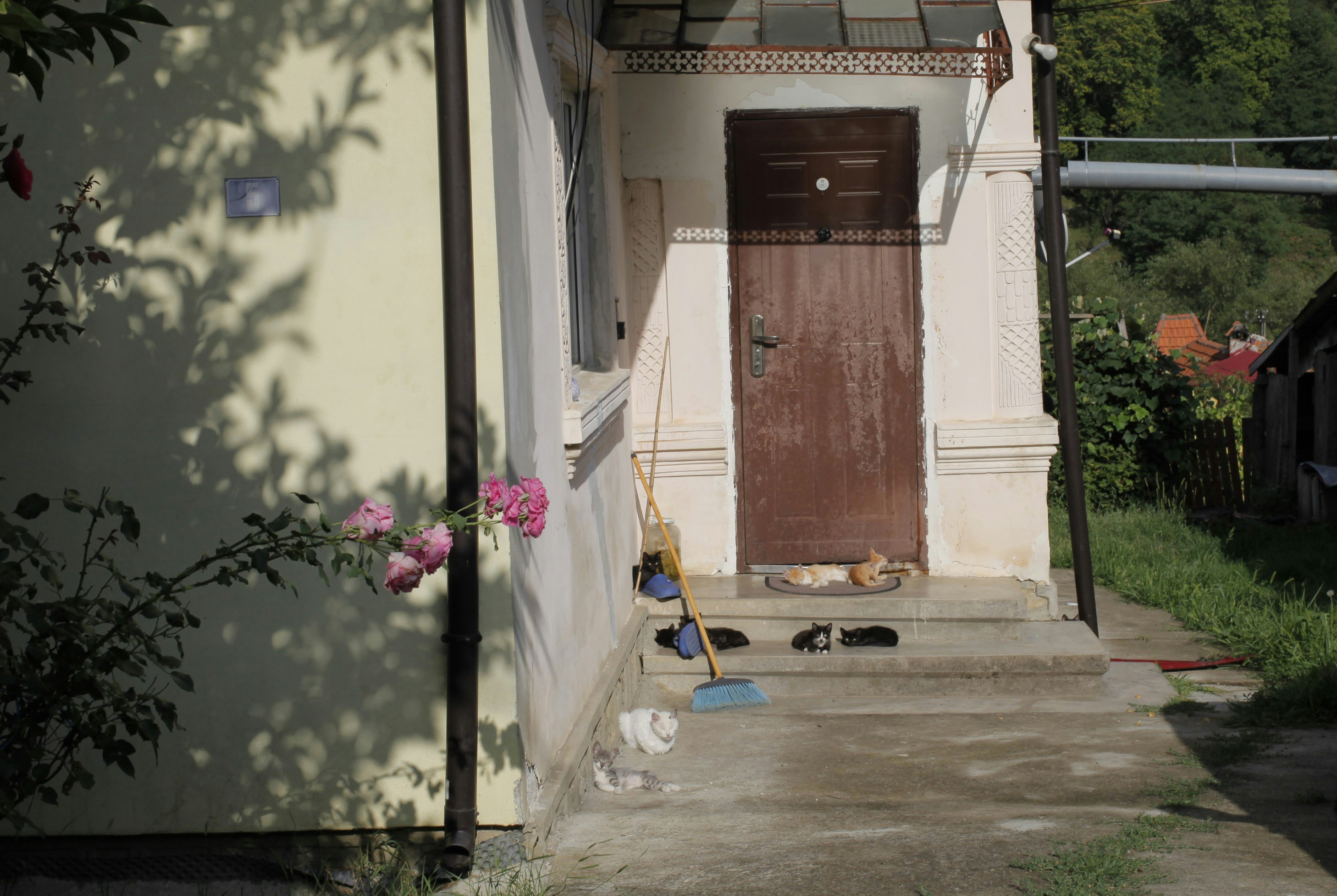 A house with a red door and a brown door