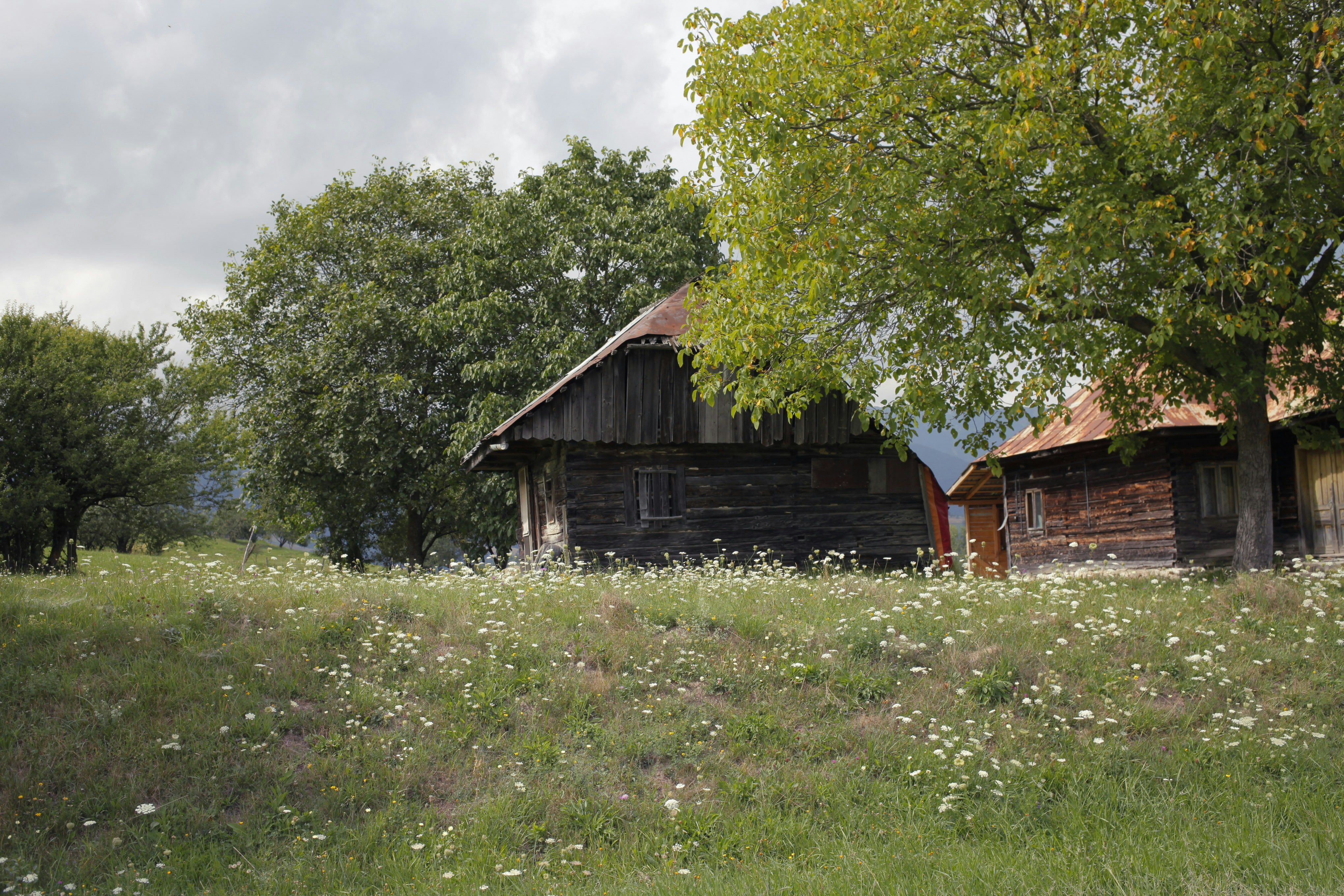 An old barn in the middle of a field