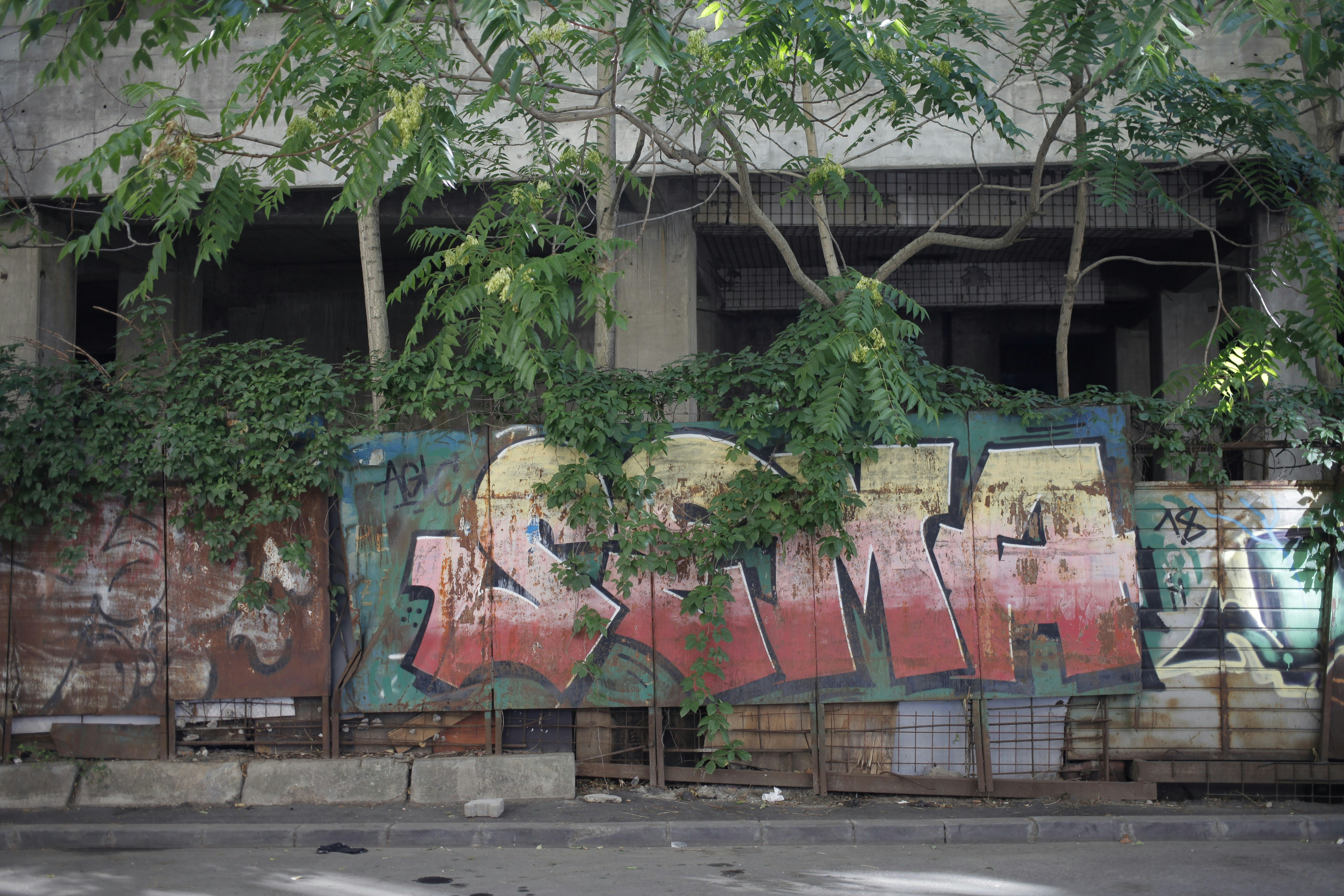 A wall with graffiti on it next to a tree