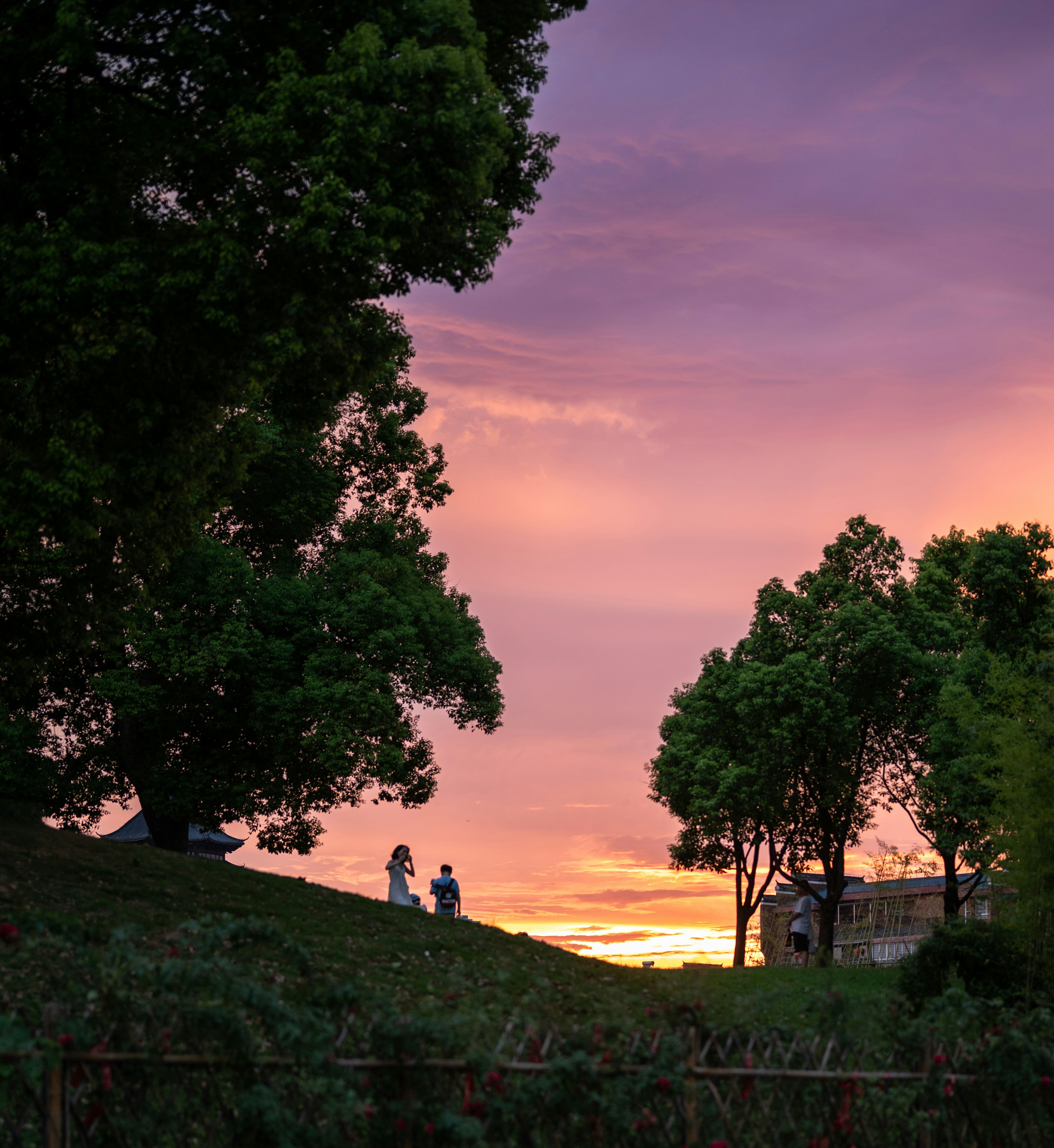 Photo by sagenein