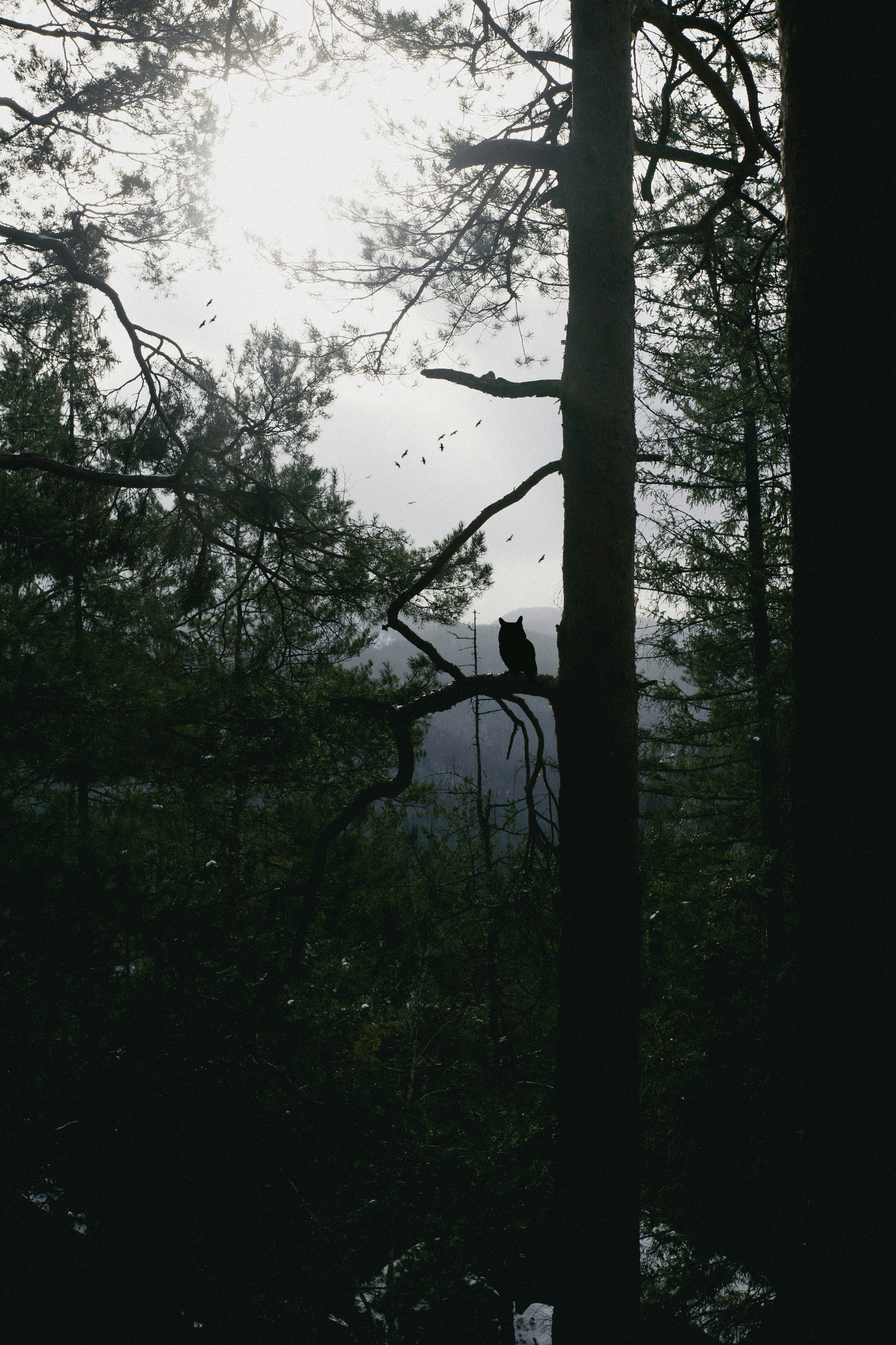 Photo by theprototype