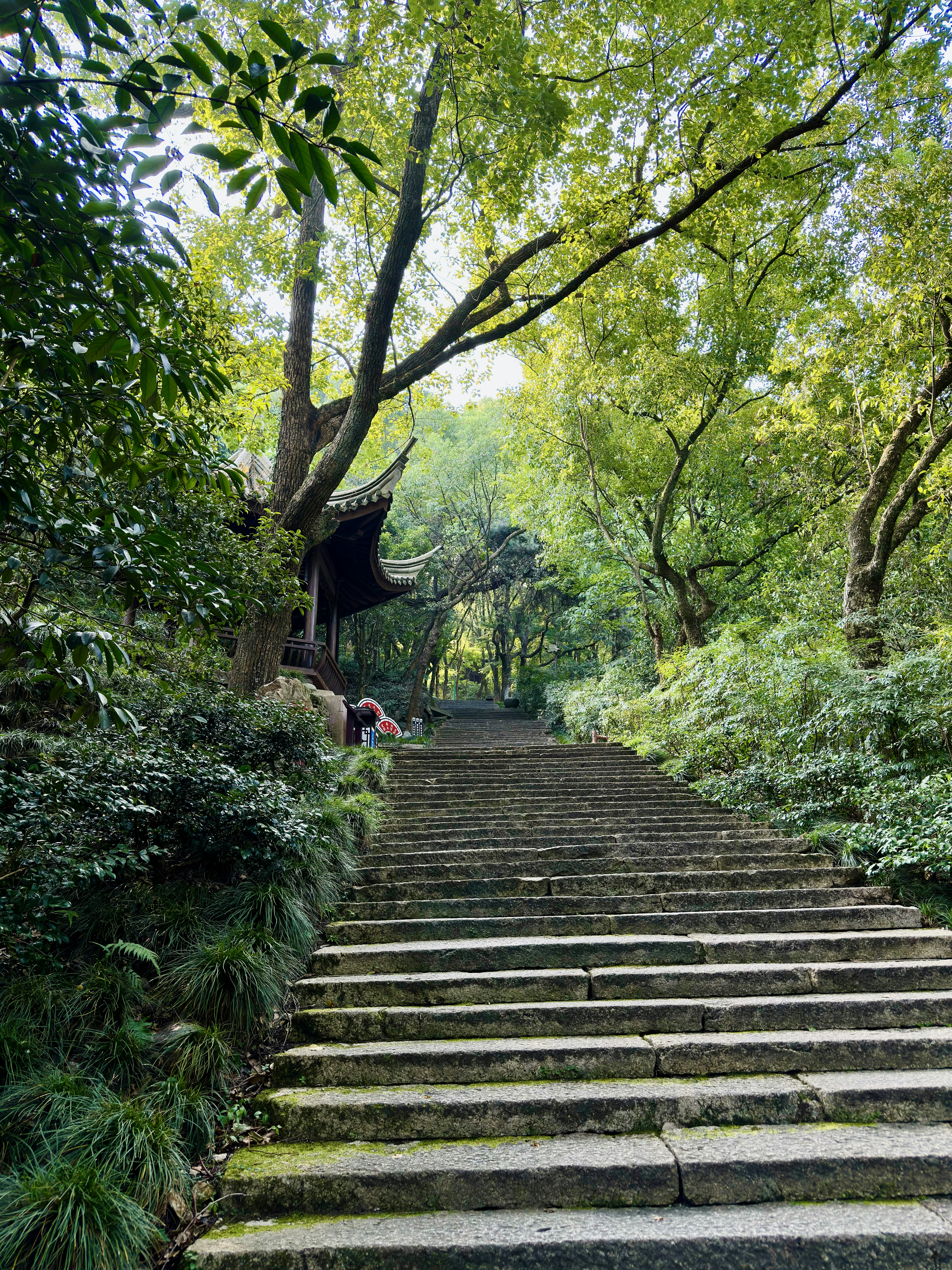 Photo by maooooozaizi