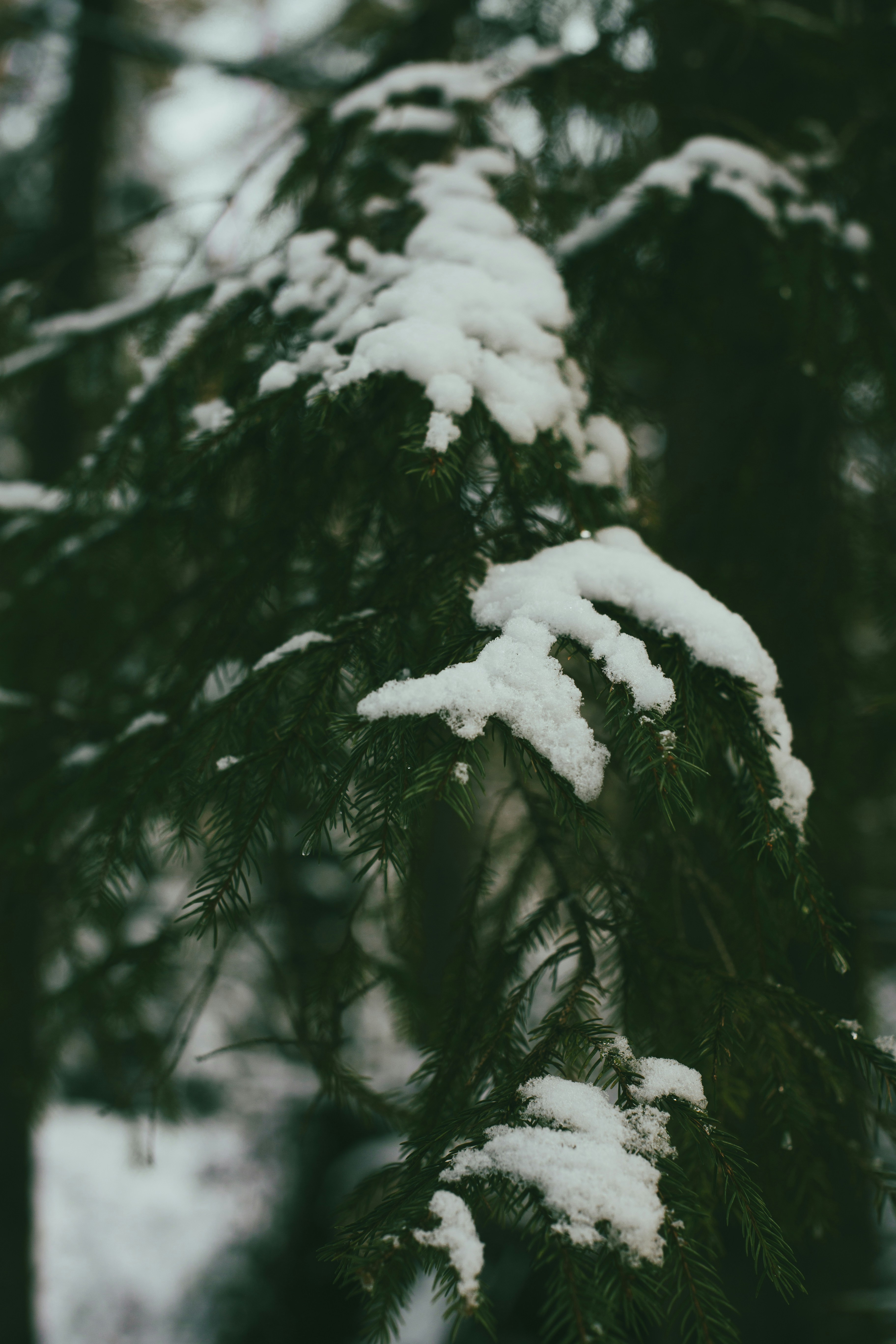 Photo by theprototype