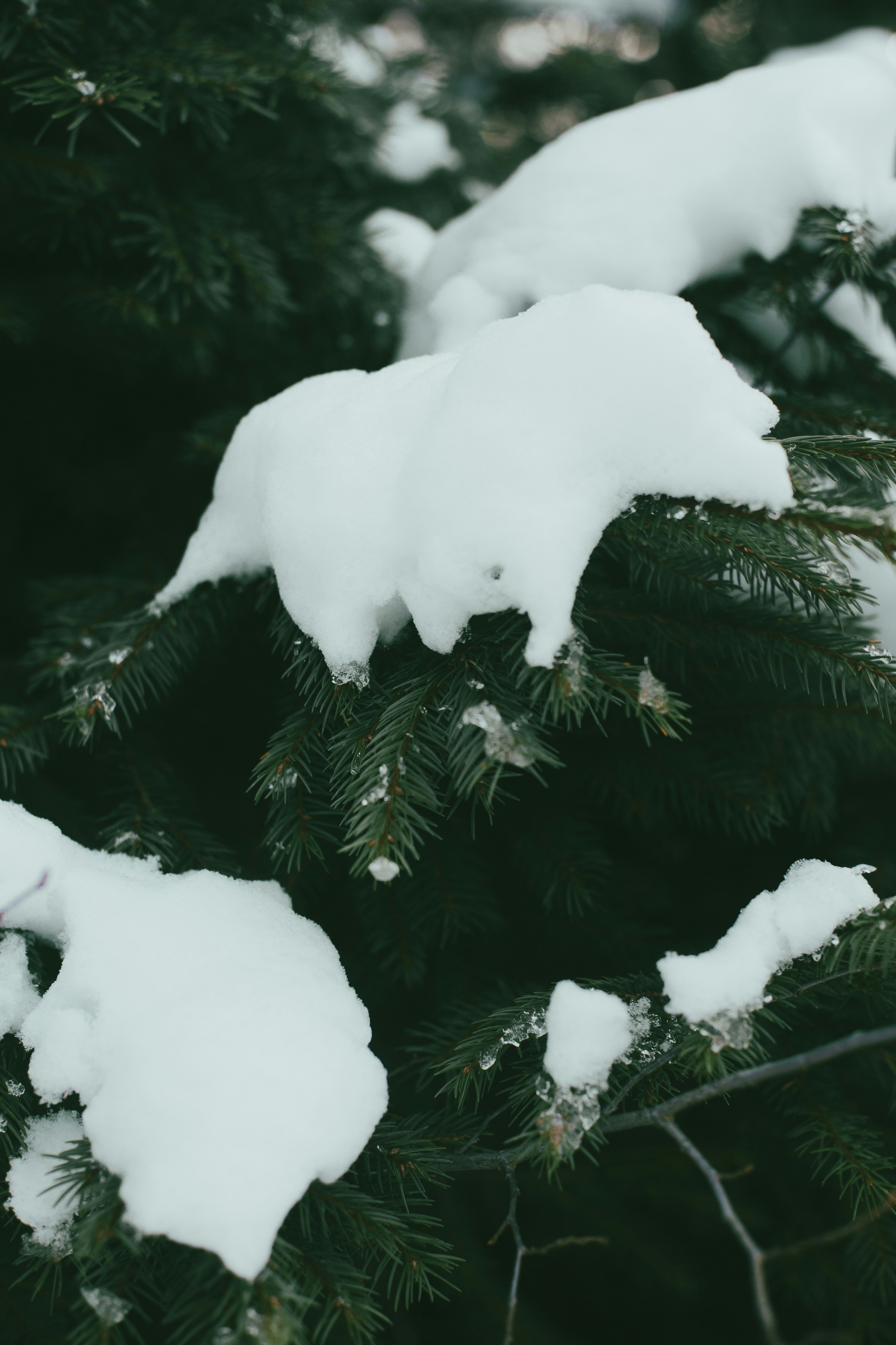 Photo by theprototype