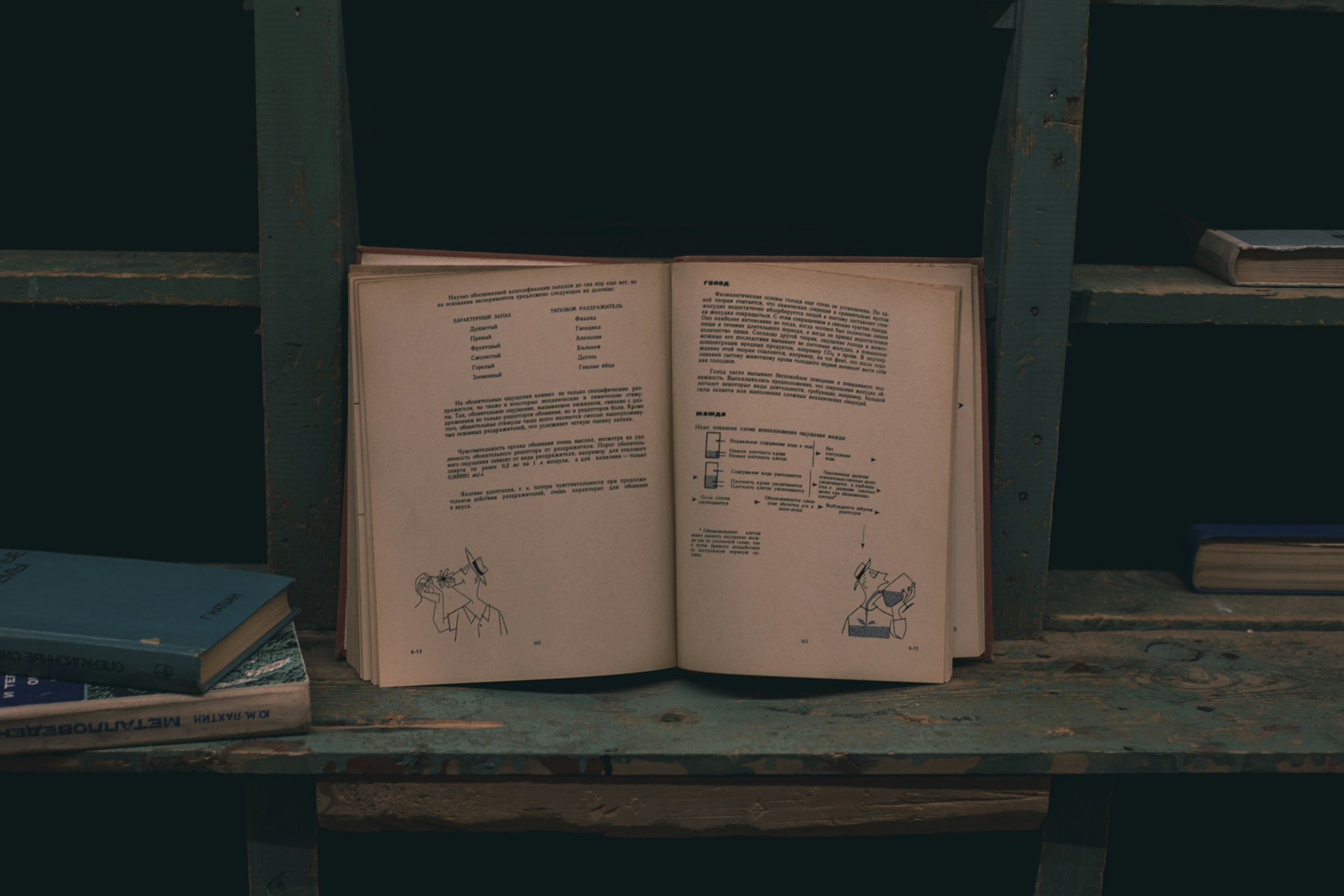 A book sitting on top of a wooden shelf