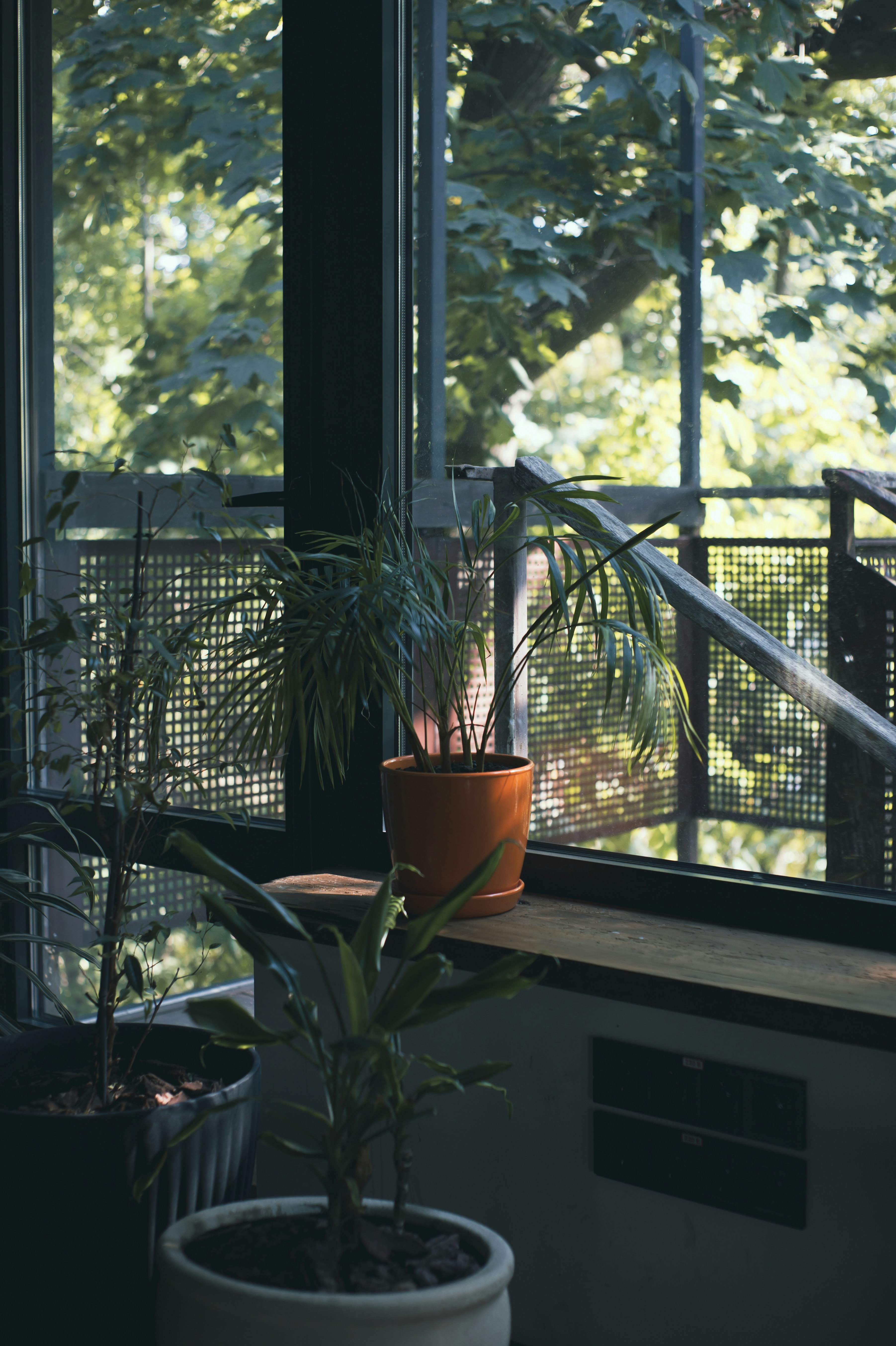 Photo by theprototype