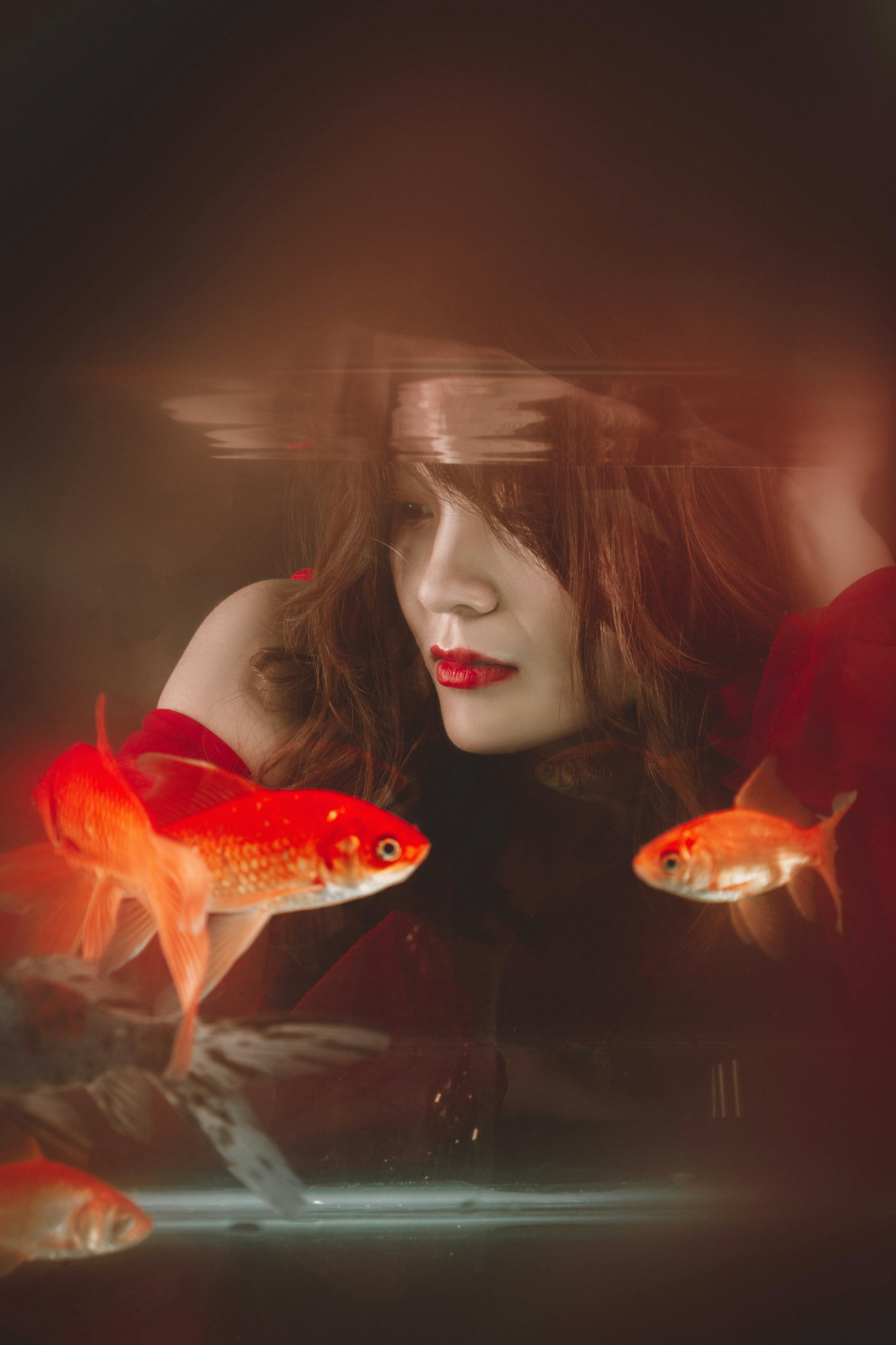 Seorang wanita melihat dua ikan mas di dalam tangki